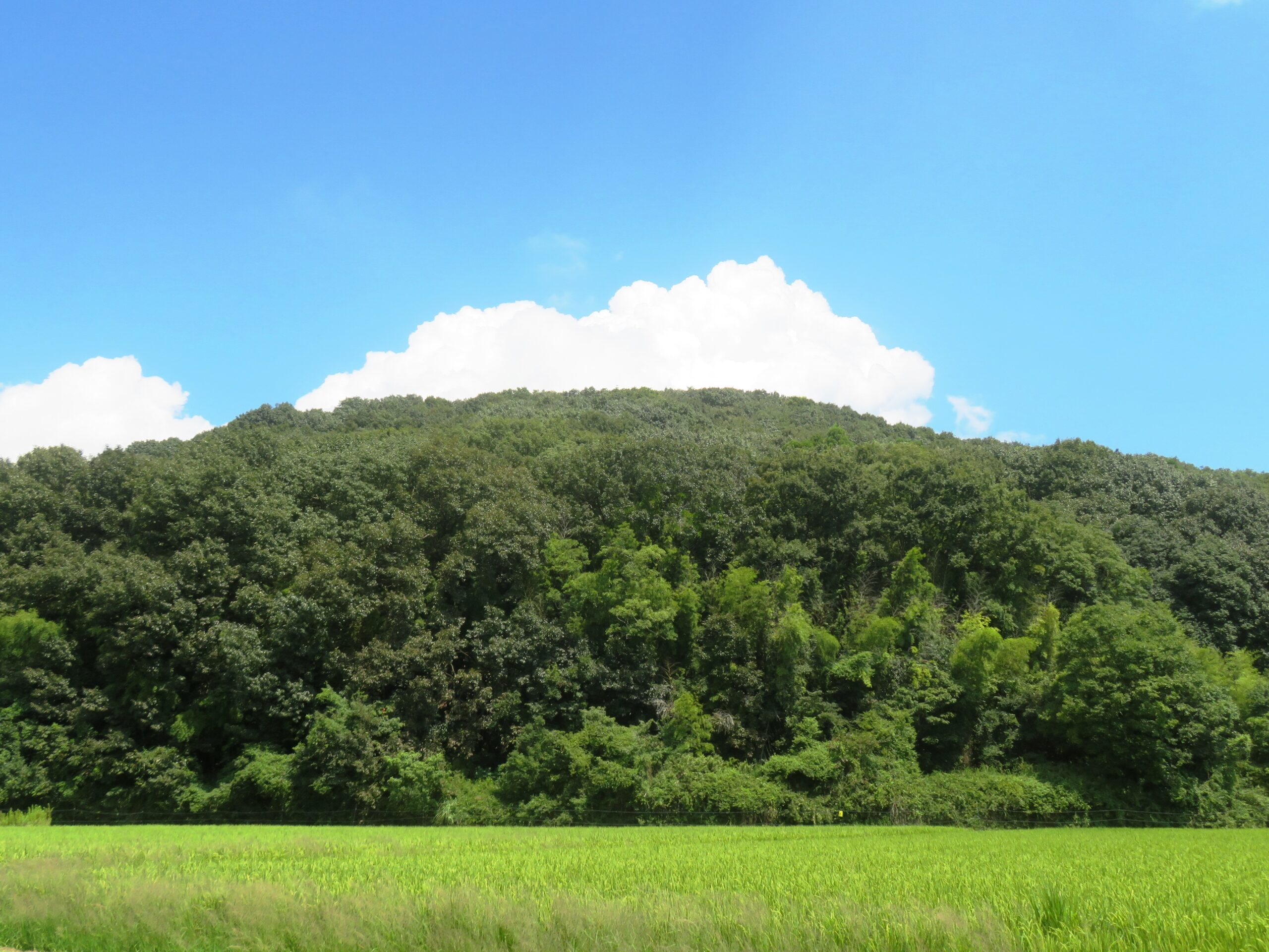 初秋の青空