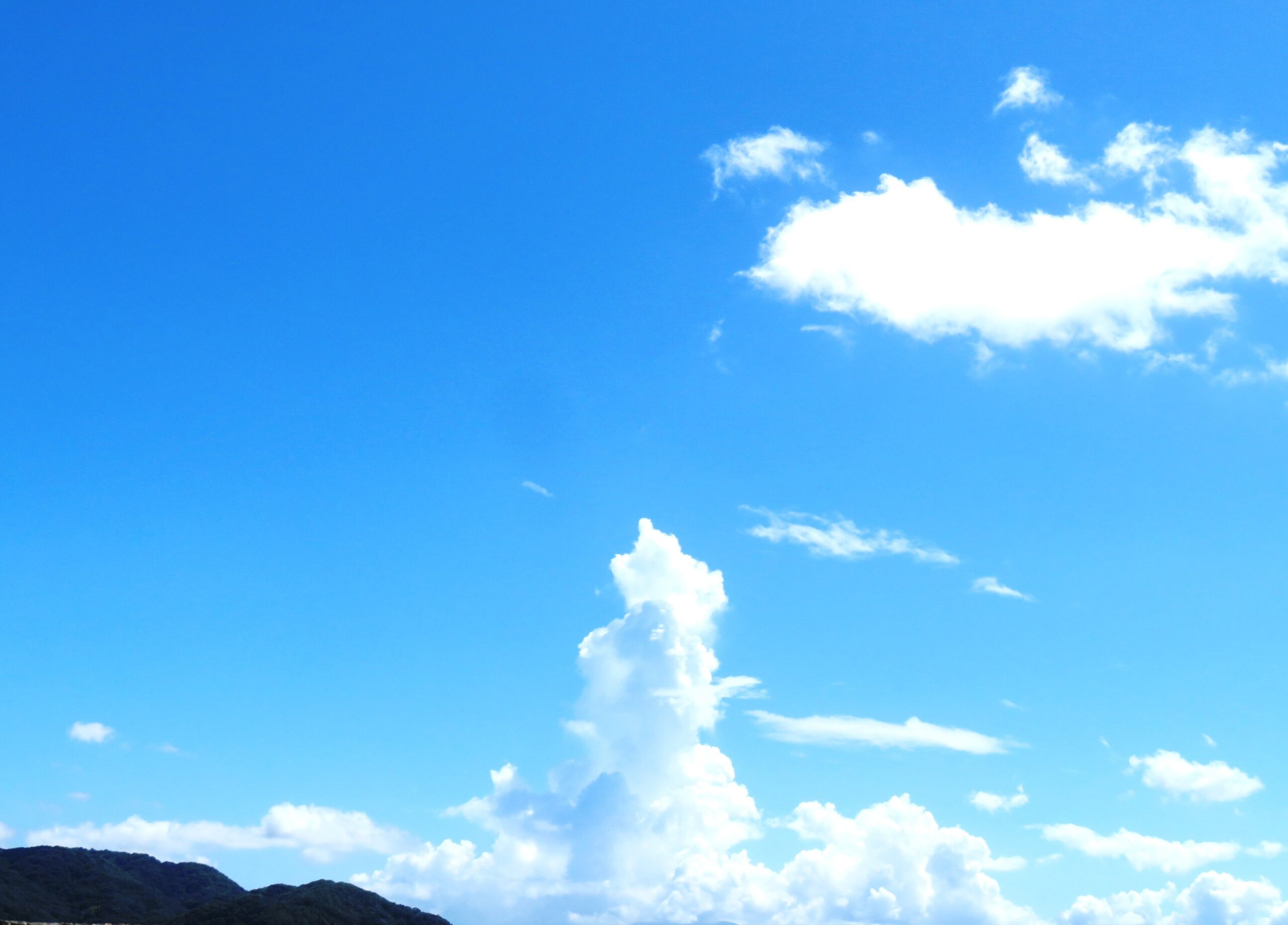 残暑の河川敷と入道雲