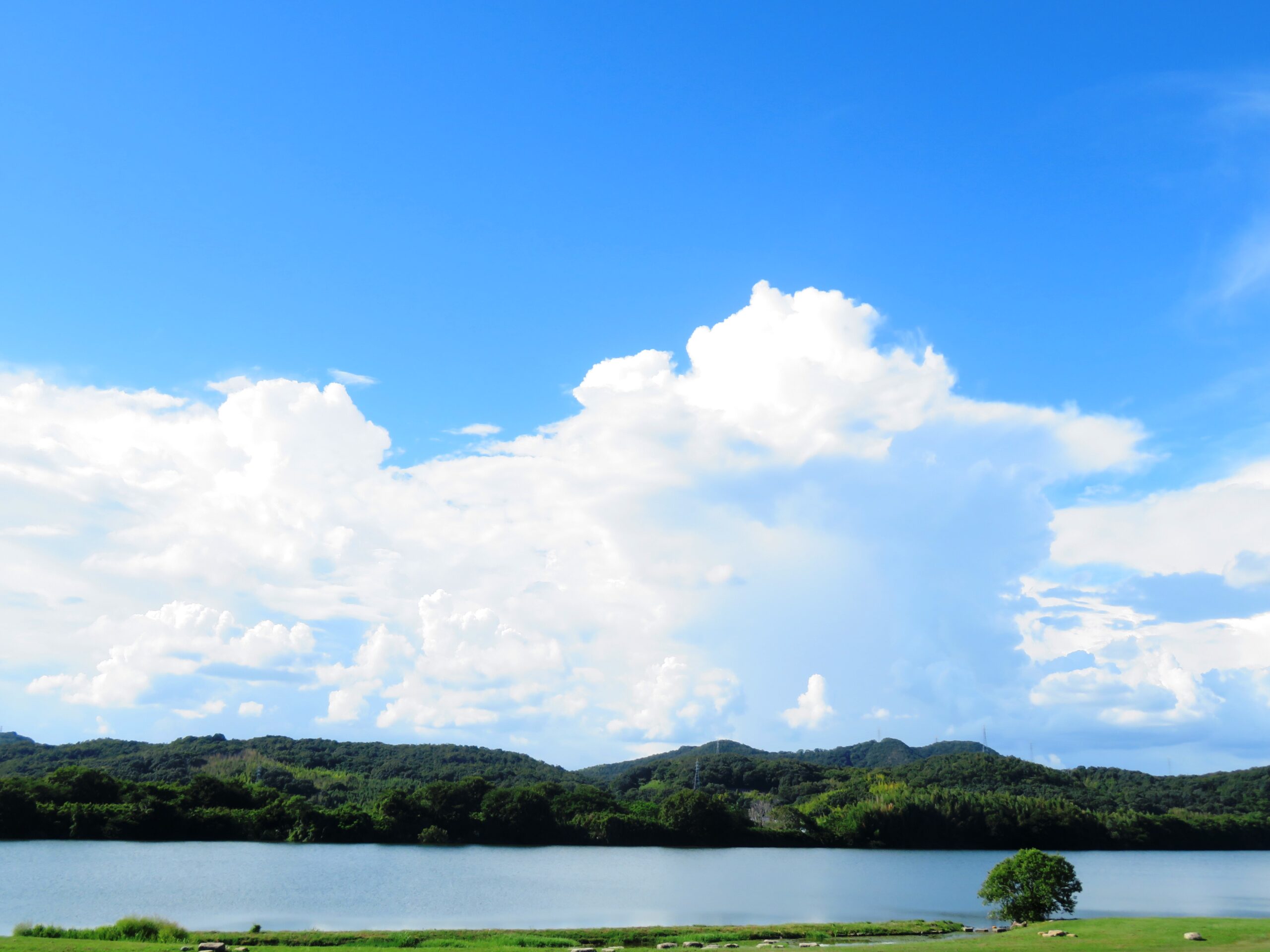 残暑の河川敷と入道雲