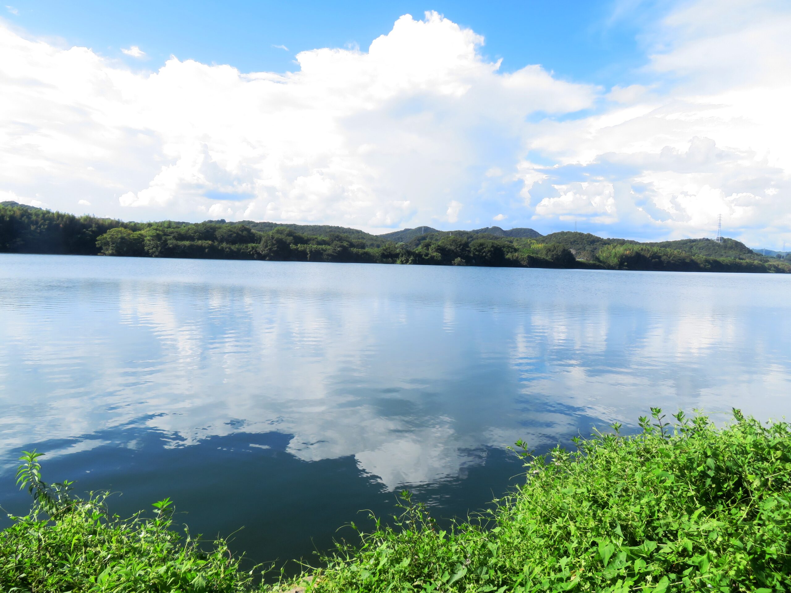 残暑の河川敷と入道雲