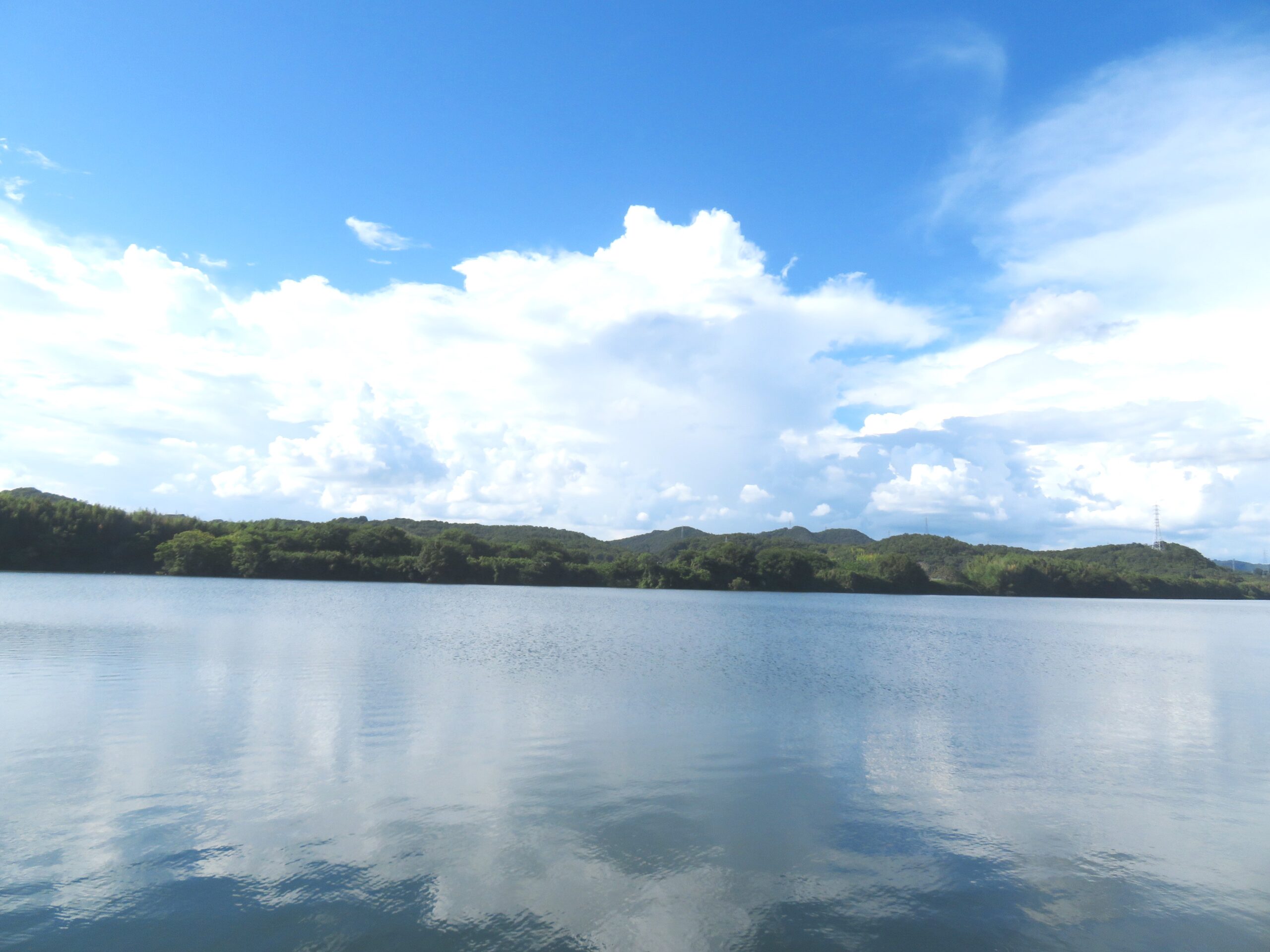 残暑の河川敷と入道雲