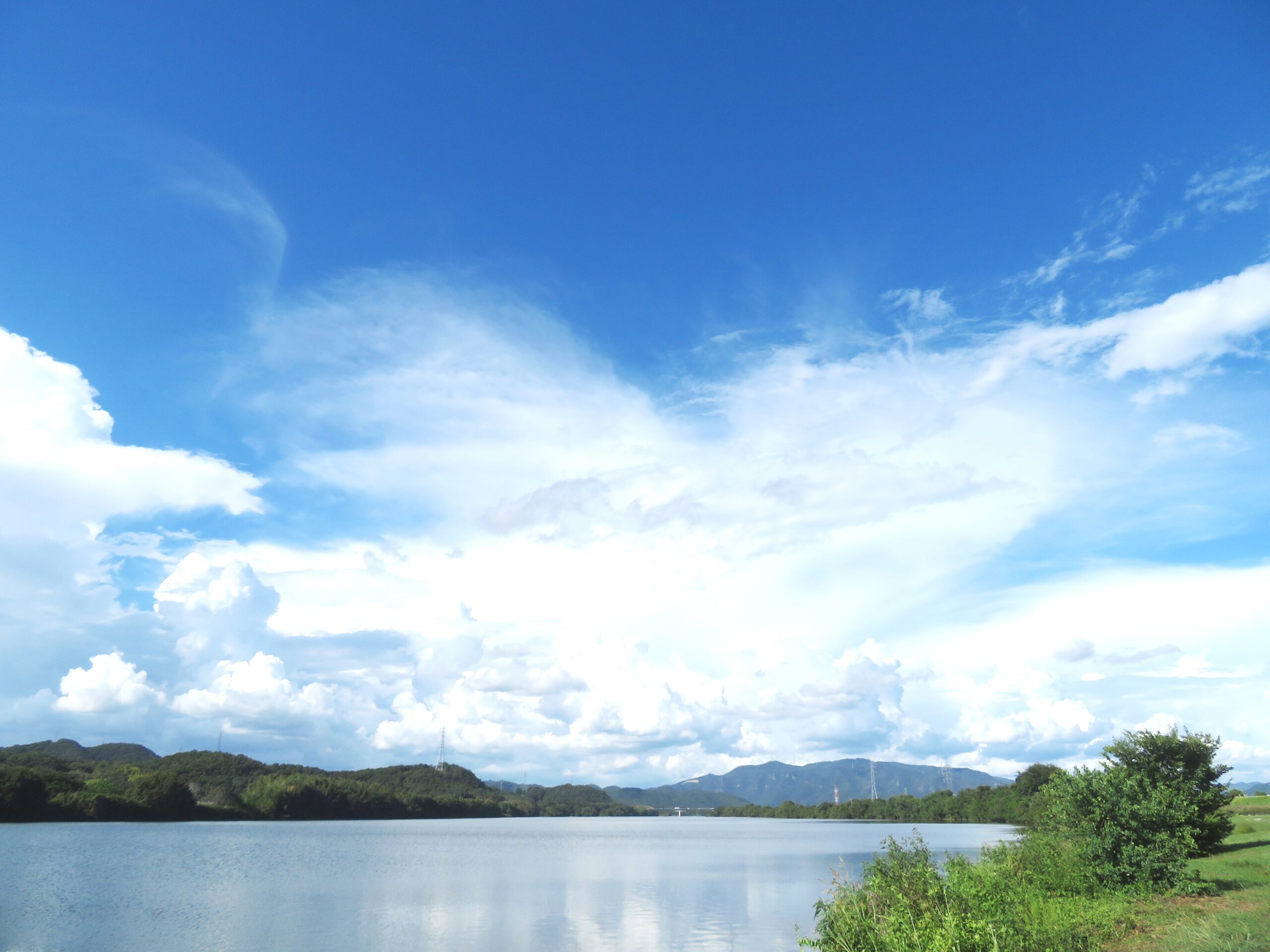 残暑の河川敷と入道雲