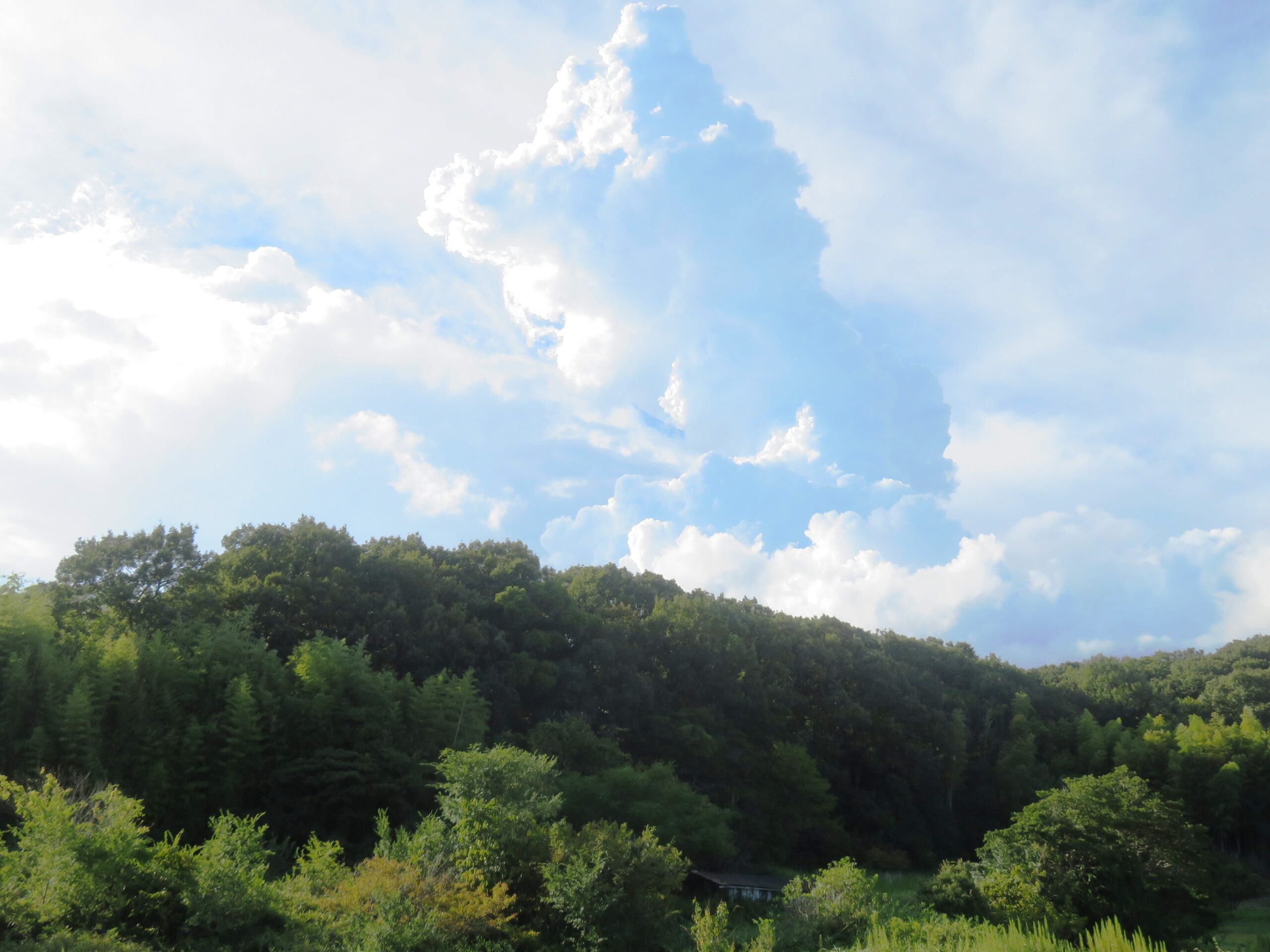 残暑の河川敷と入道雲