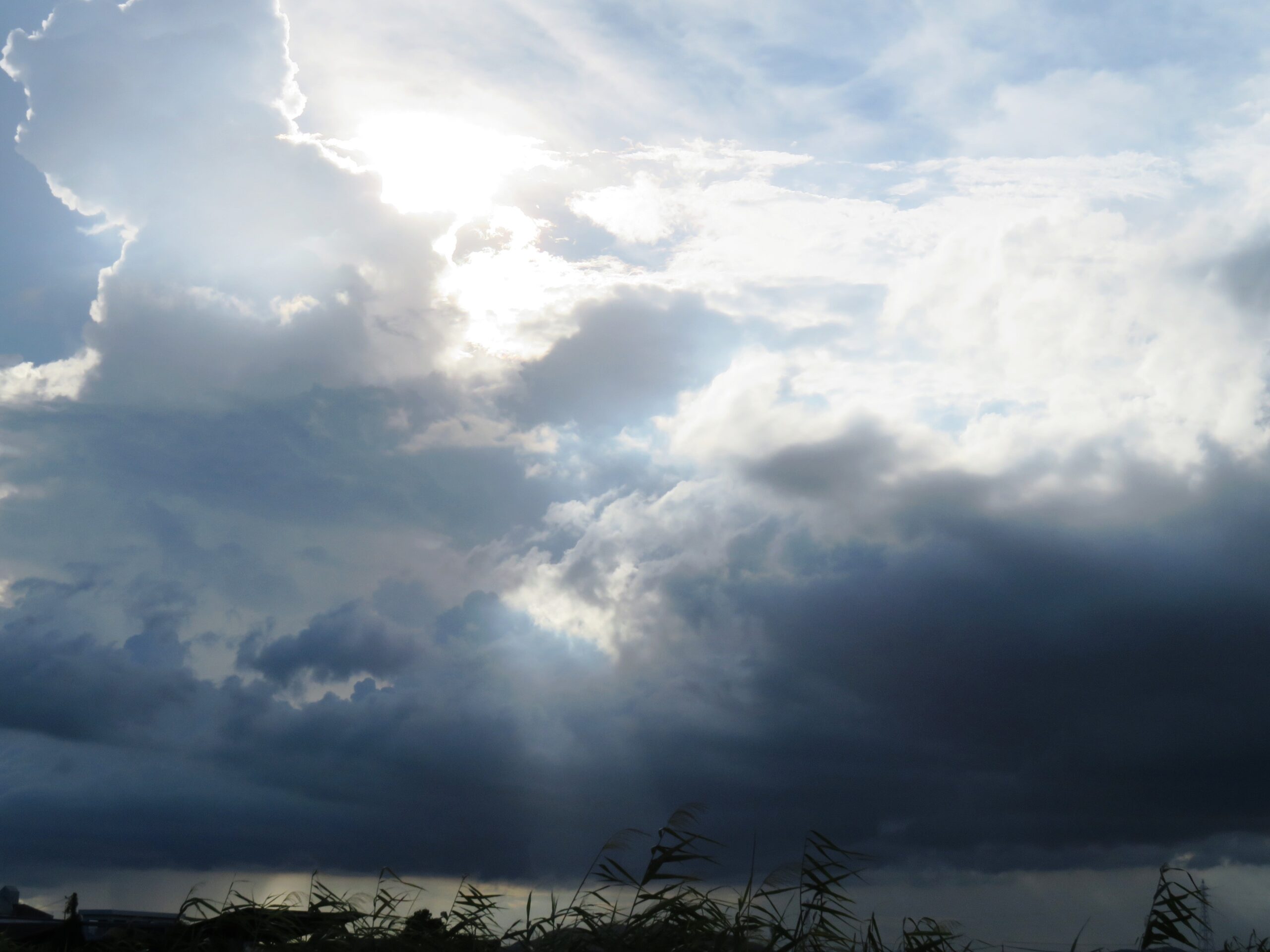 残暑の河川敷と入道雲