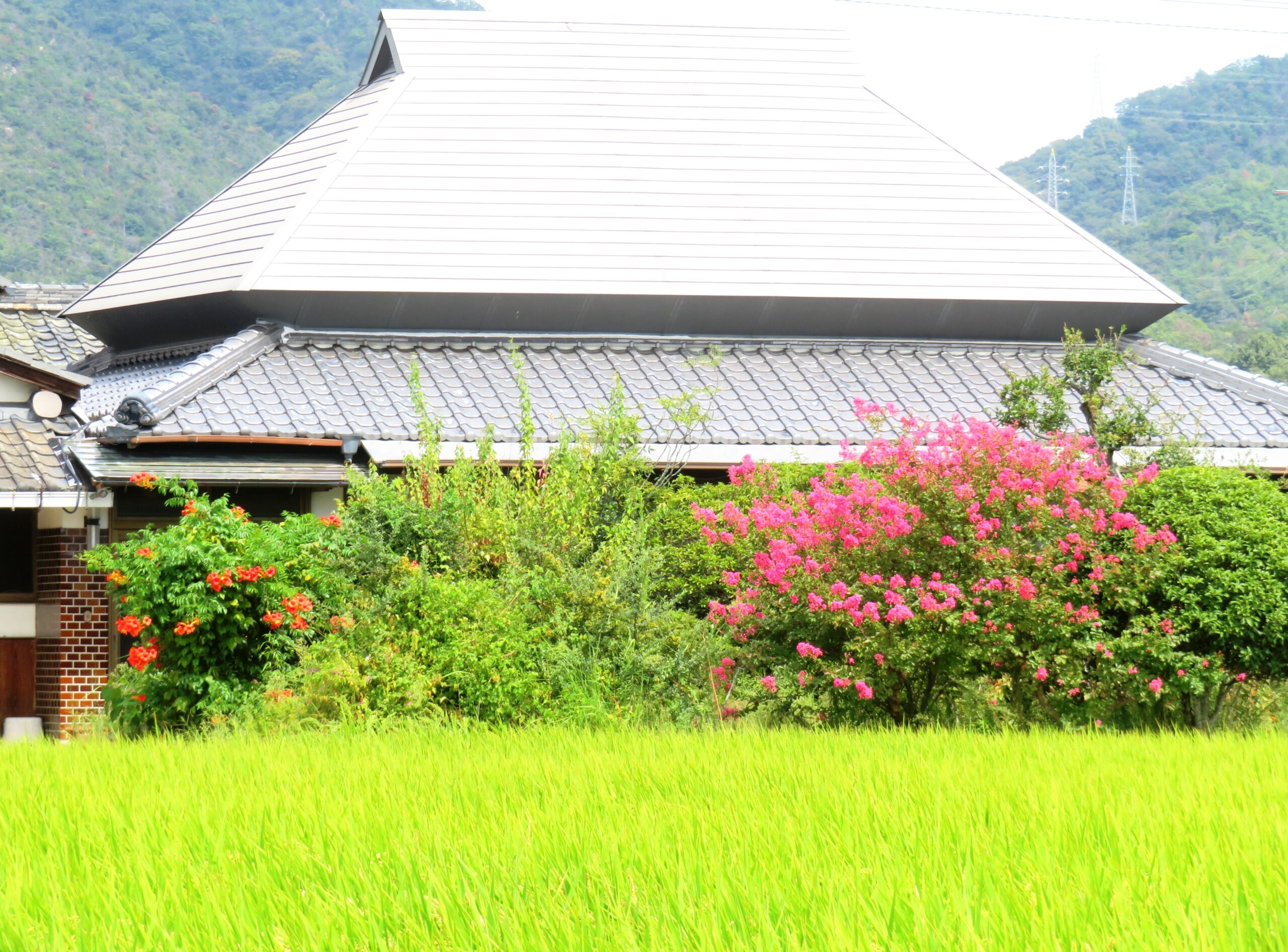 お彼岸の田舎家