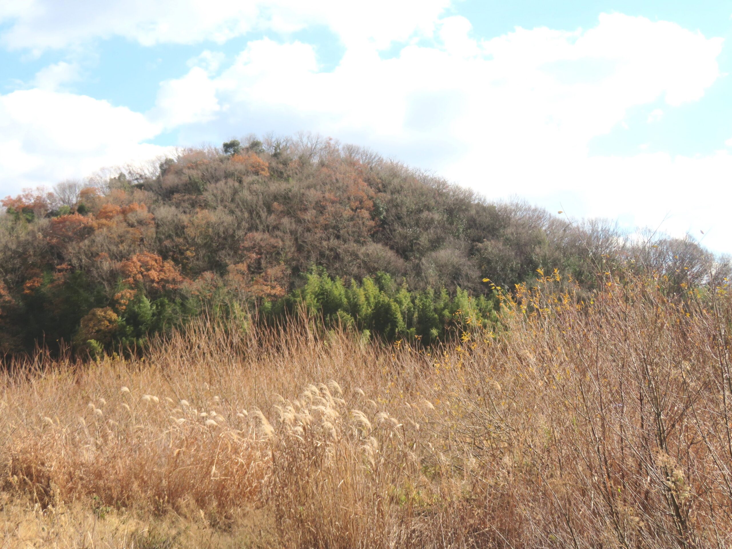 大寒の田舎