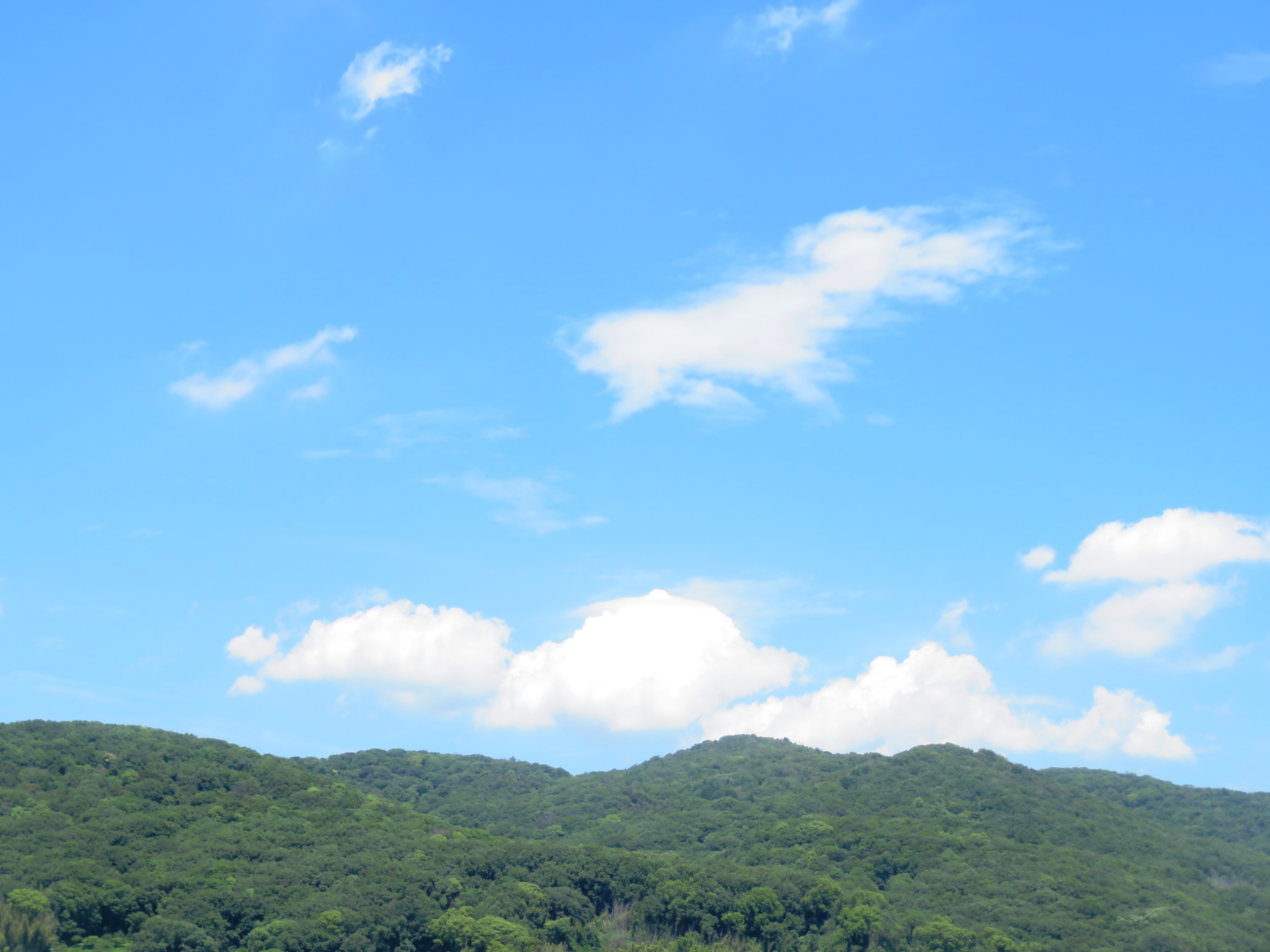 夏空