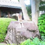 ねこ、風太　巡回