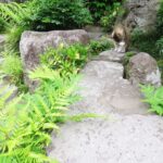 ねこ、風太　巡回