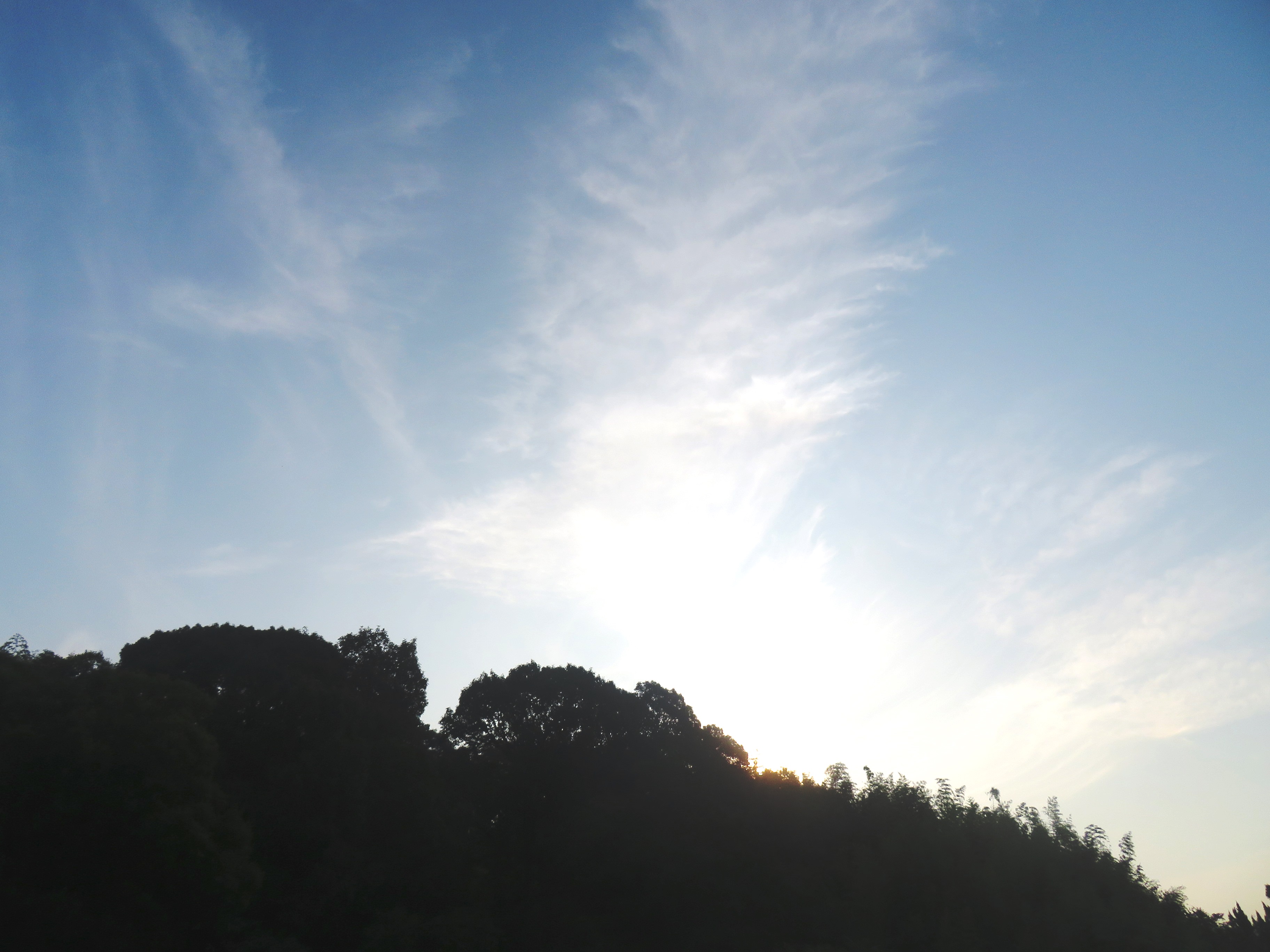 晩夏の朝