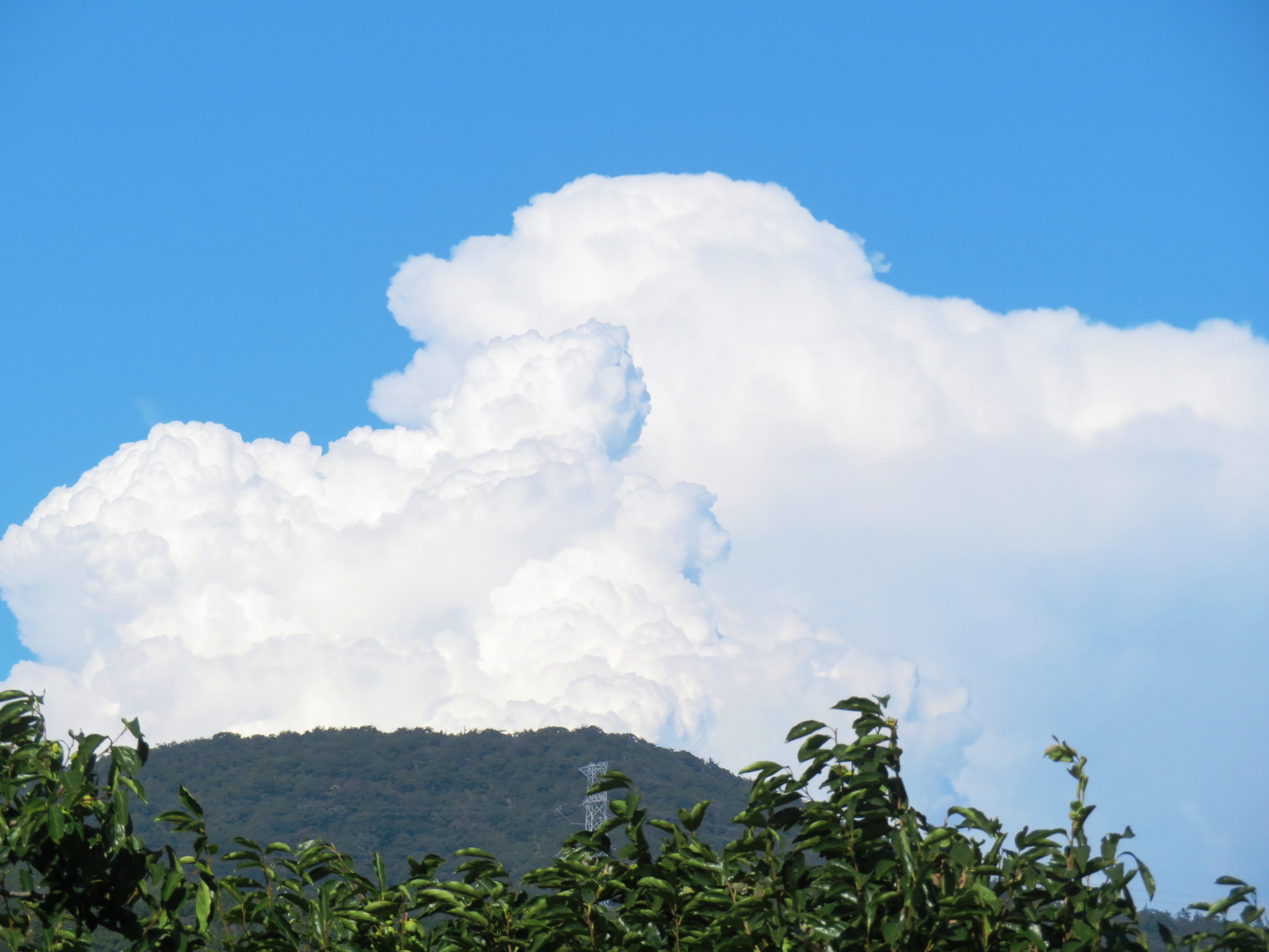 入道雲