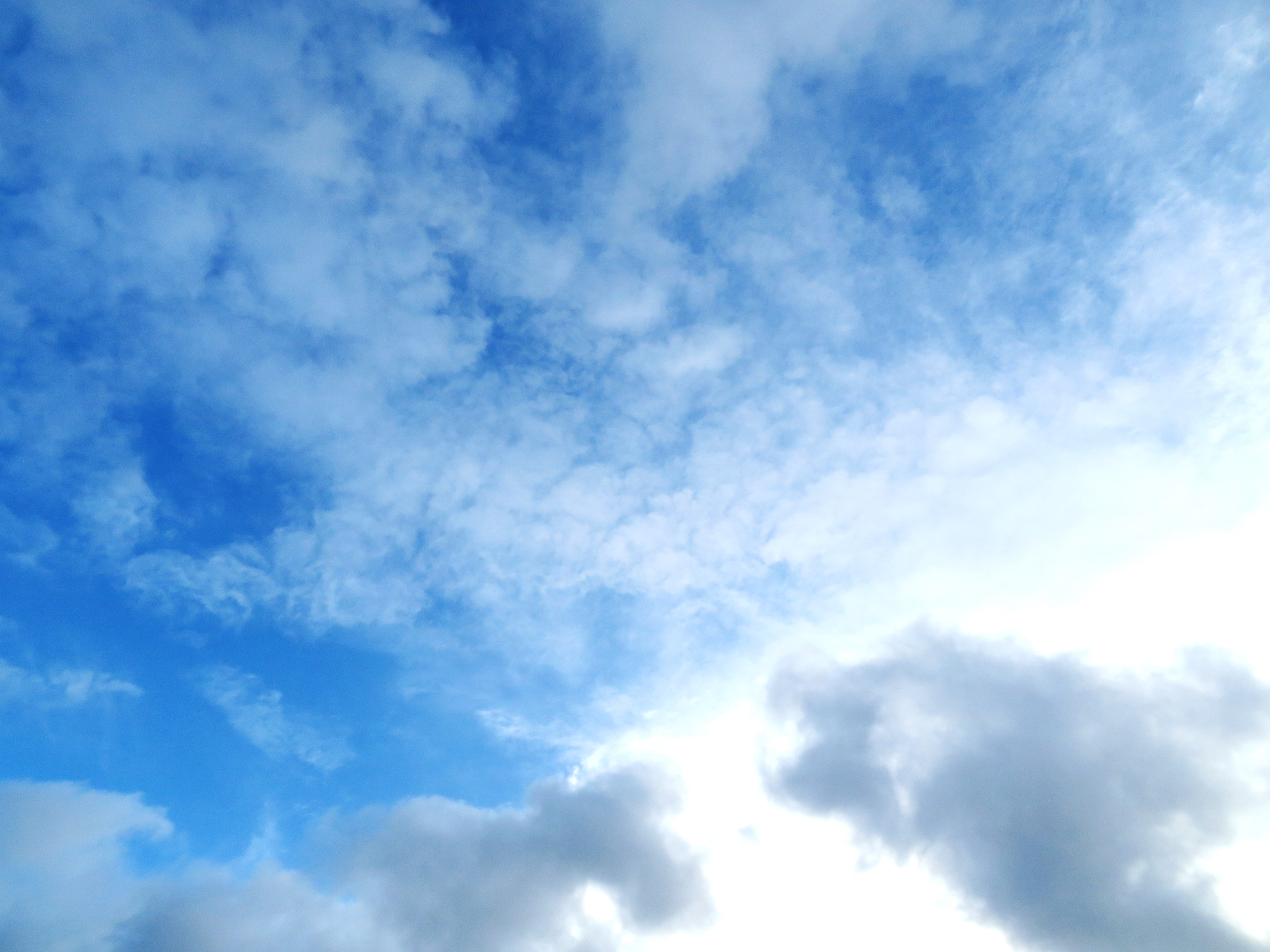 秋の空