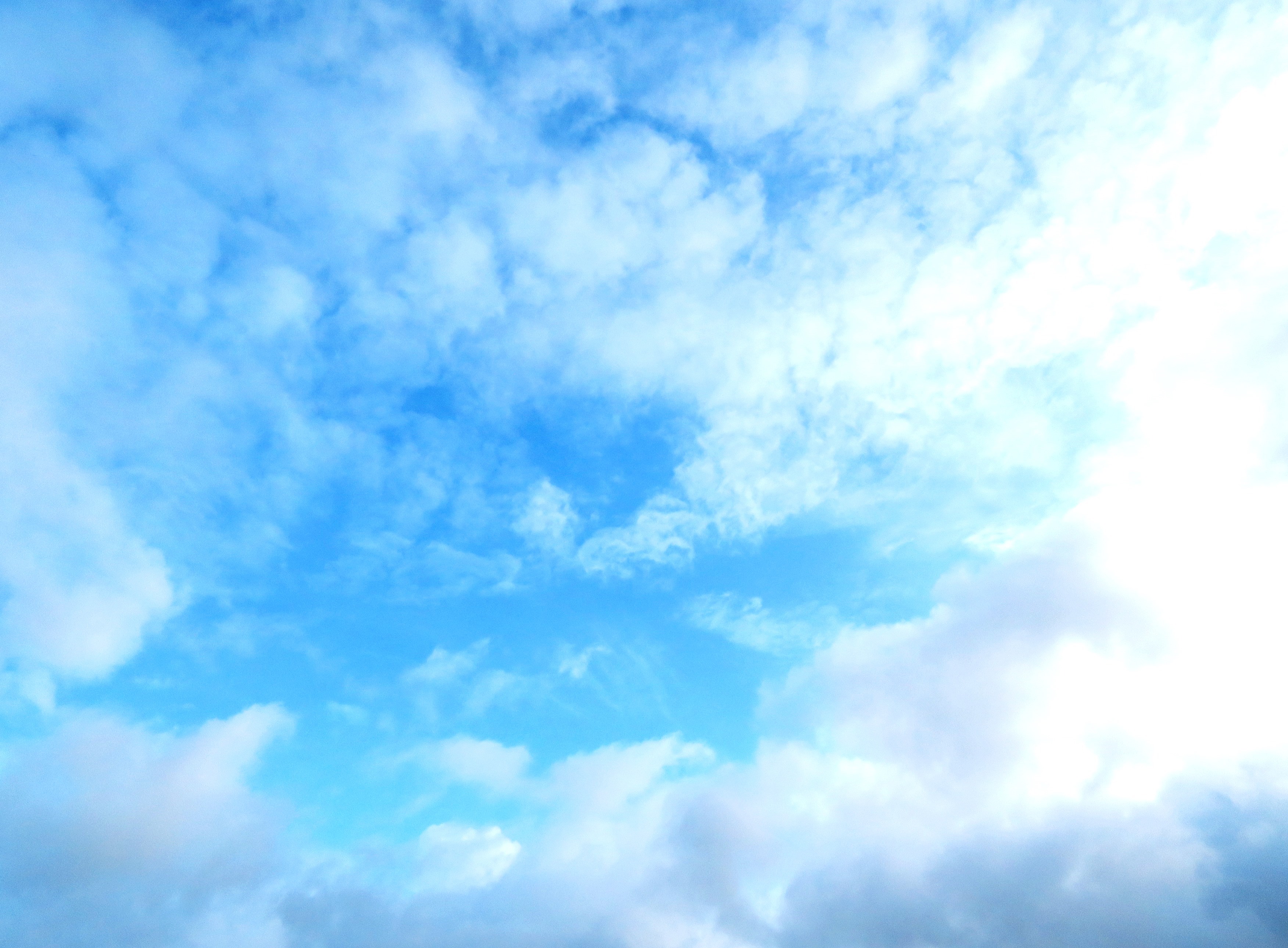秋の空
