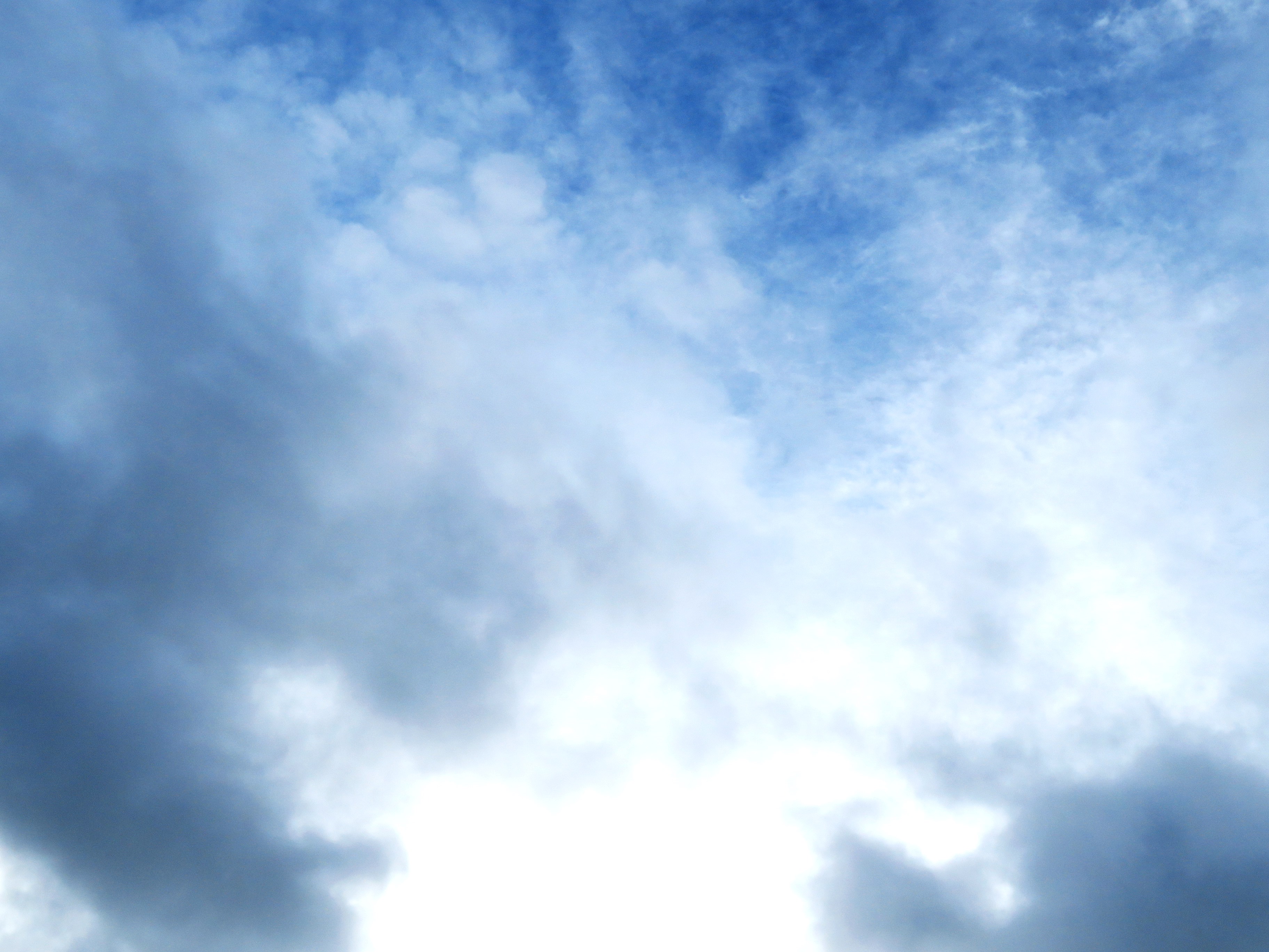 秋の空