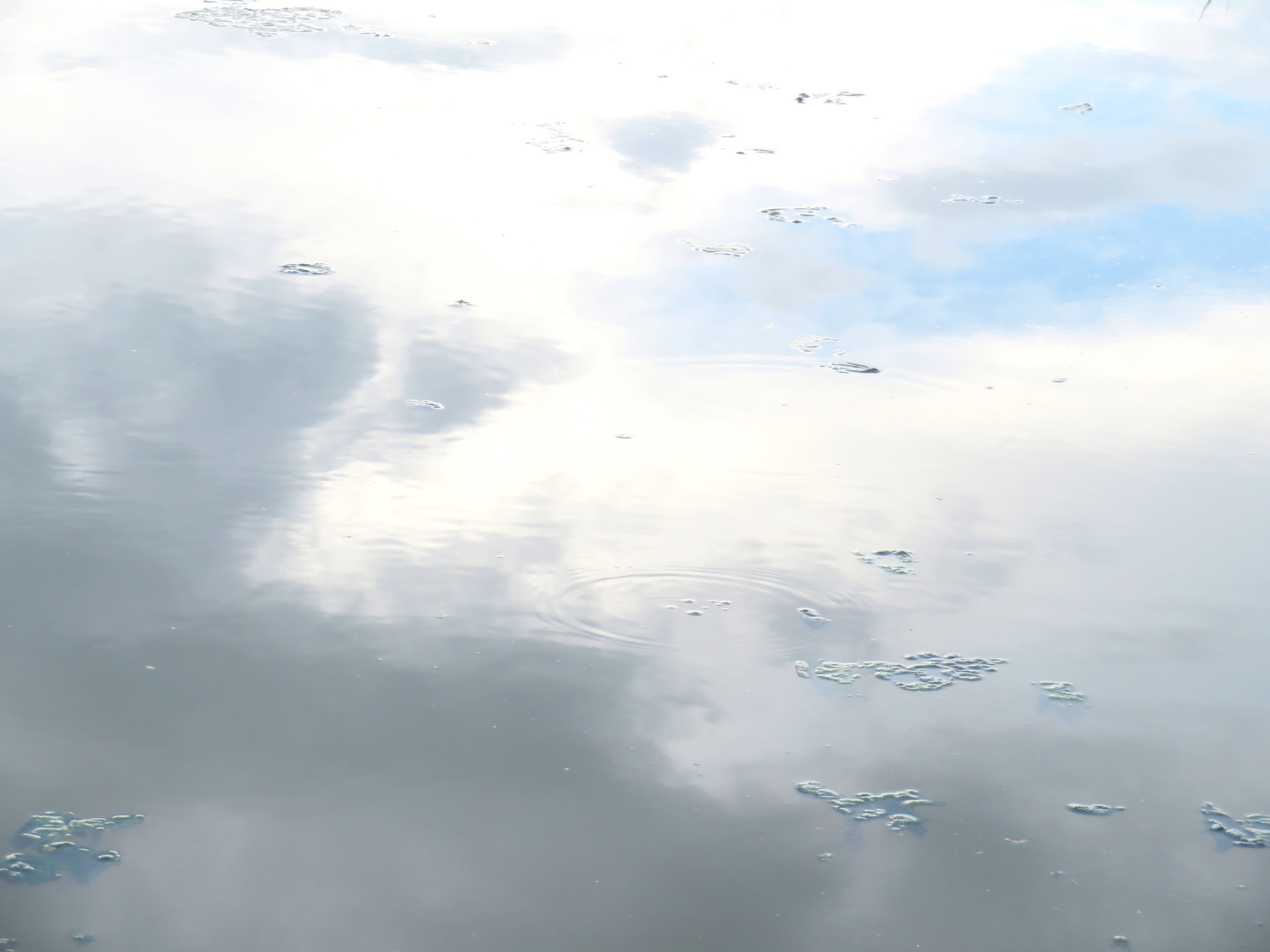 曇天の水鏡