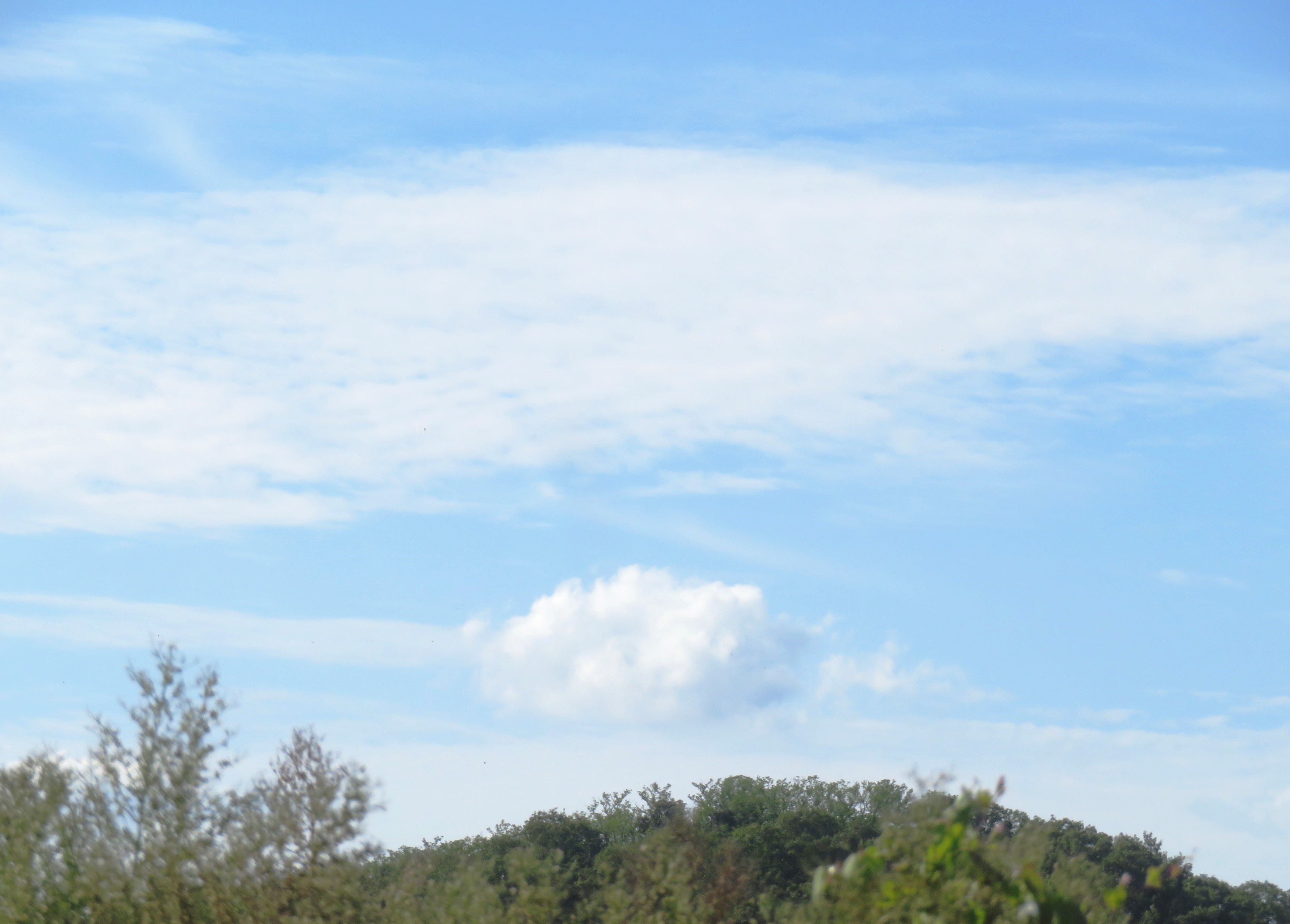 秋の空