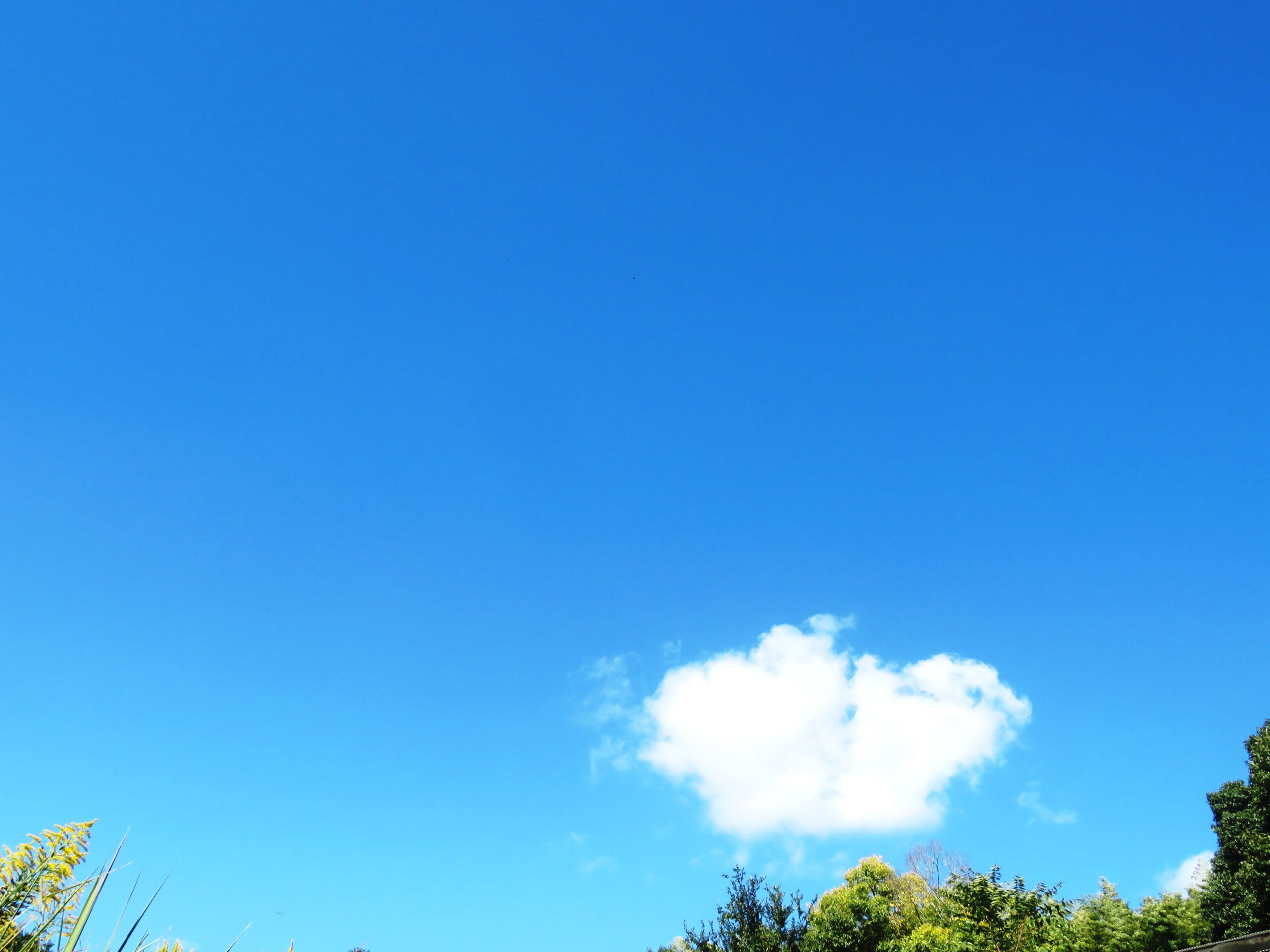 10月の青空