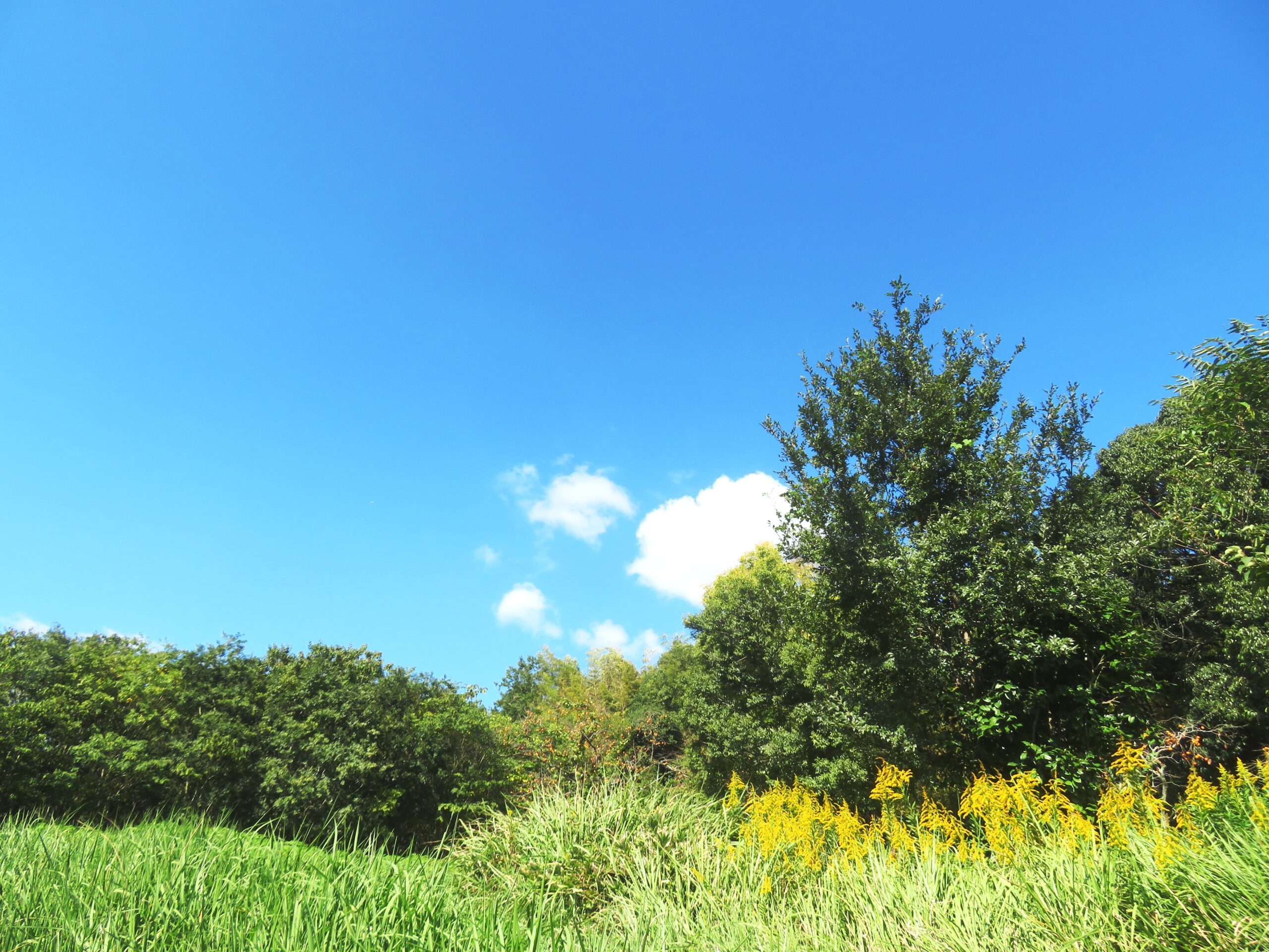 10月の青空
