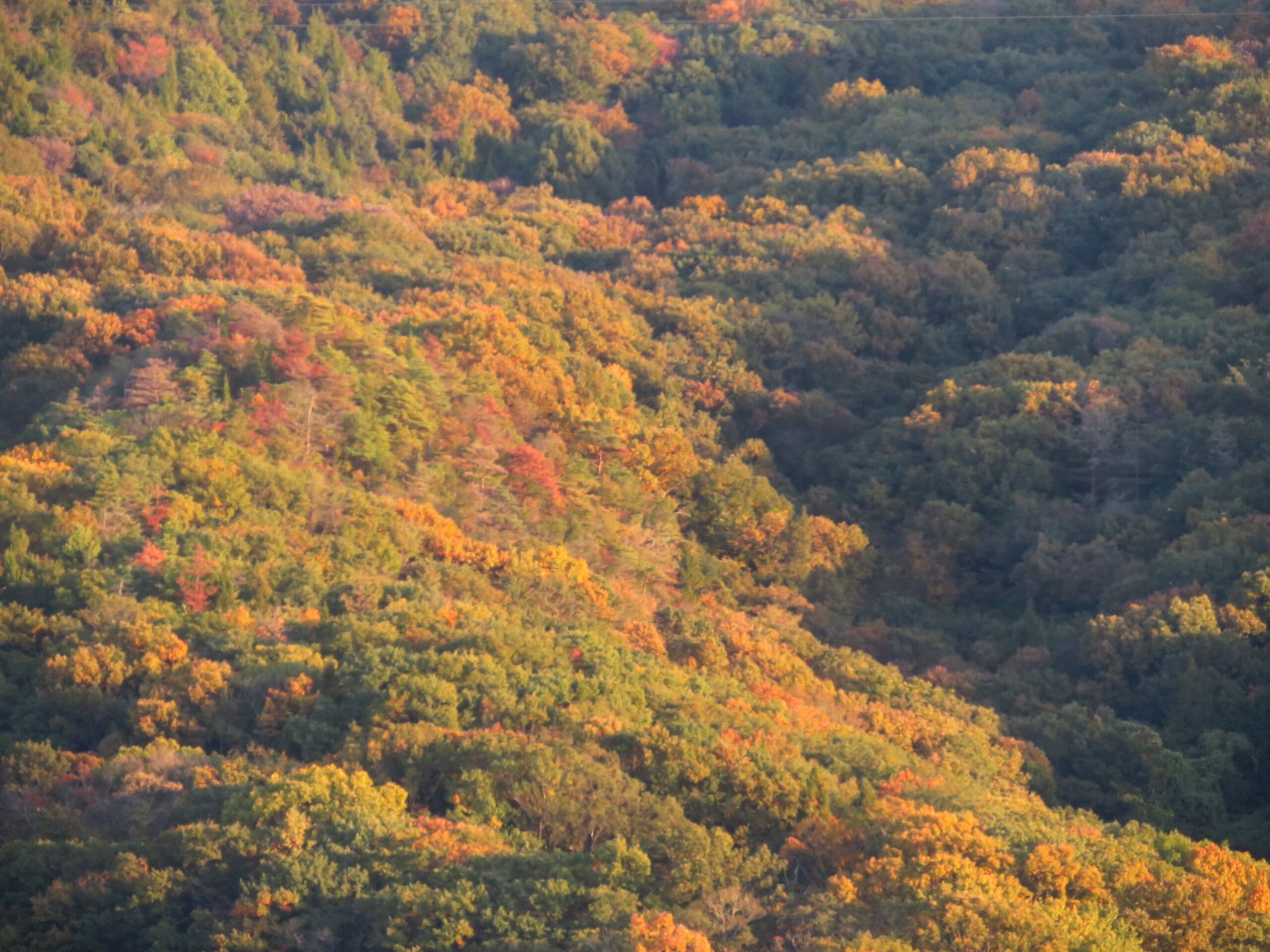 初冬の山の夕暮れ