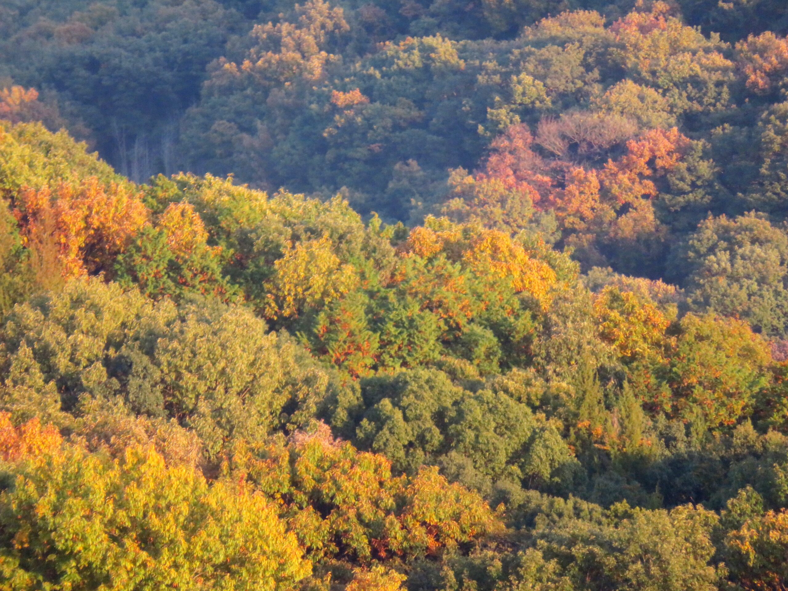 初冬の山の夕暮れ
