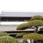 ねこ、風太　巡回