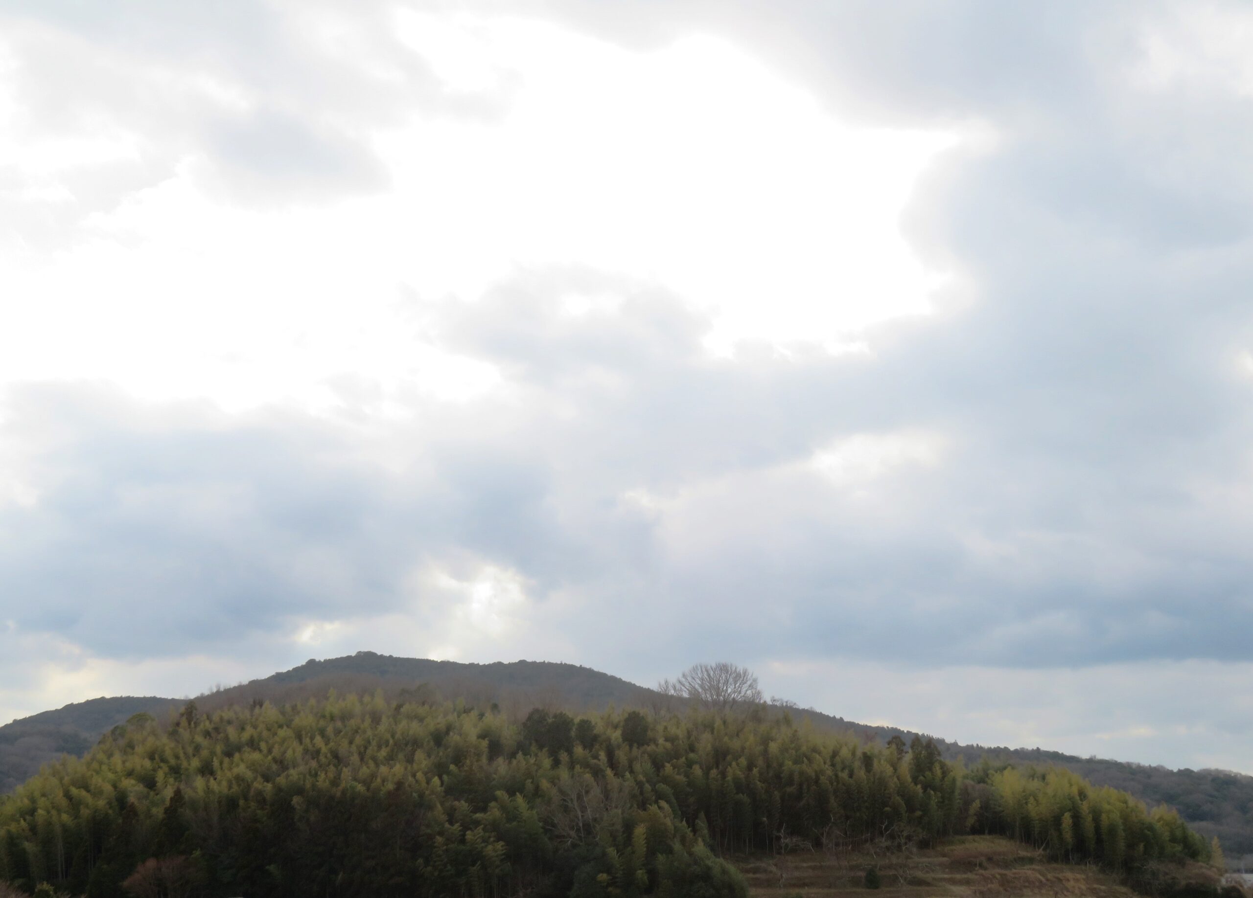 2月の田舎　曇天