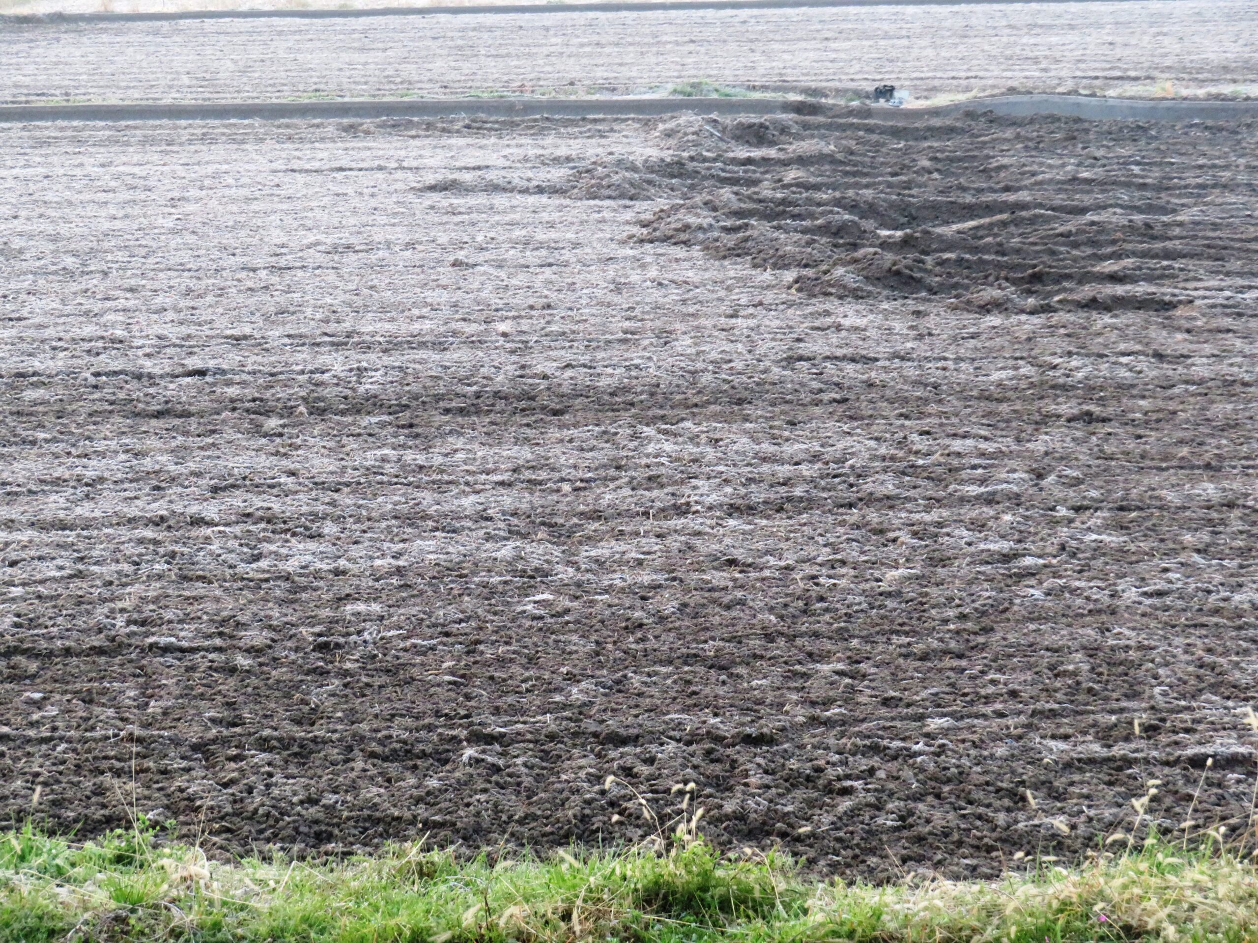 春分の日の夜明け