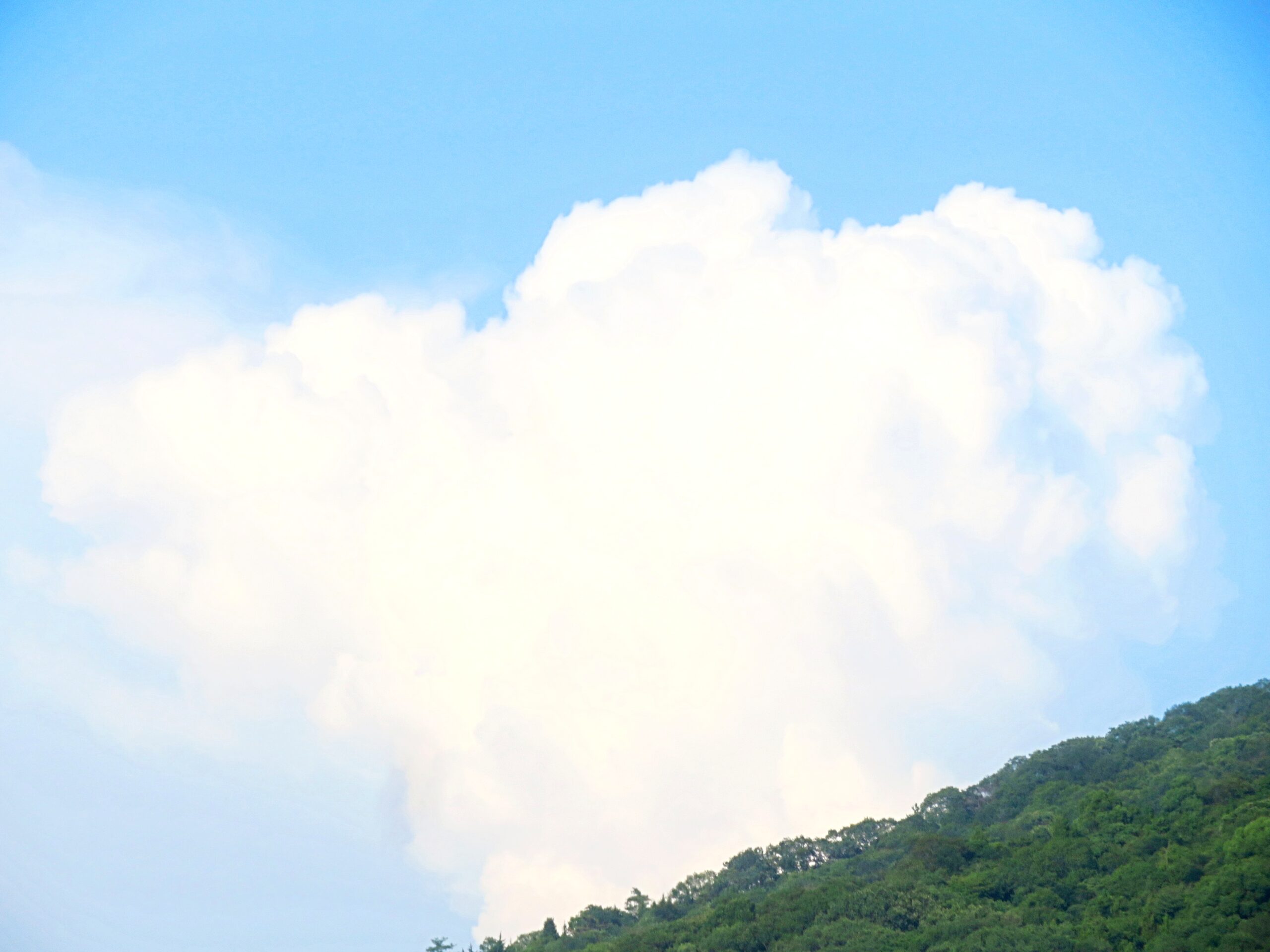 入道雲