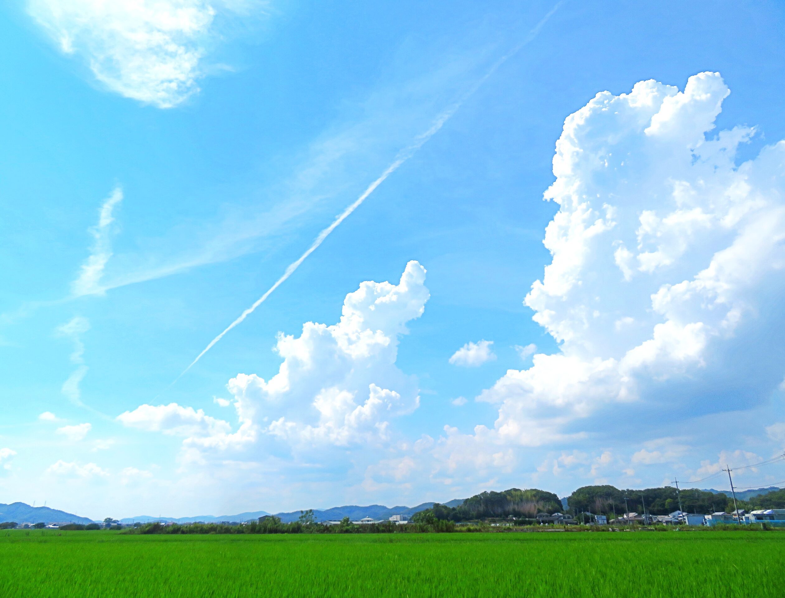 入道雲