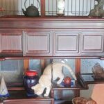 こねこ、そら、遊ぶ