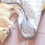 こねこ、そら、遊ぶ