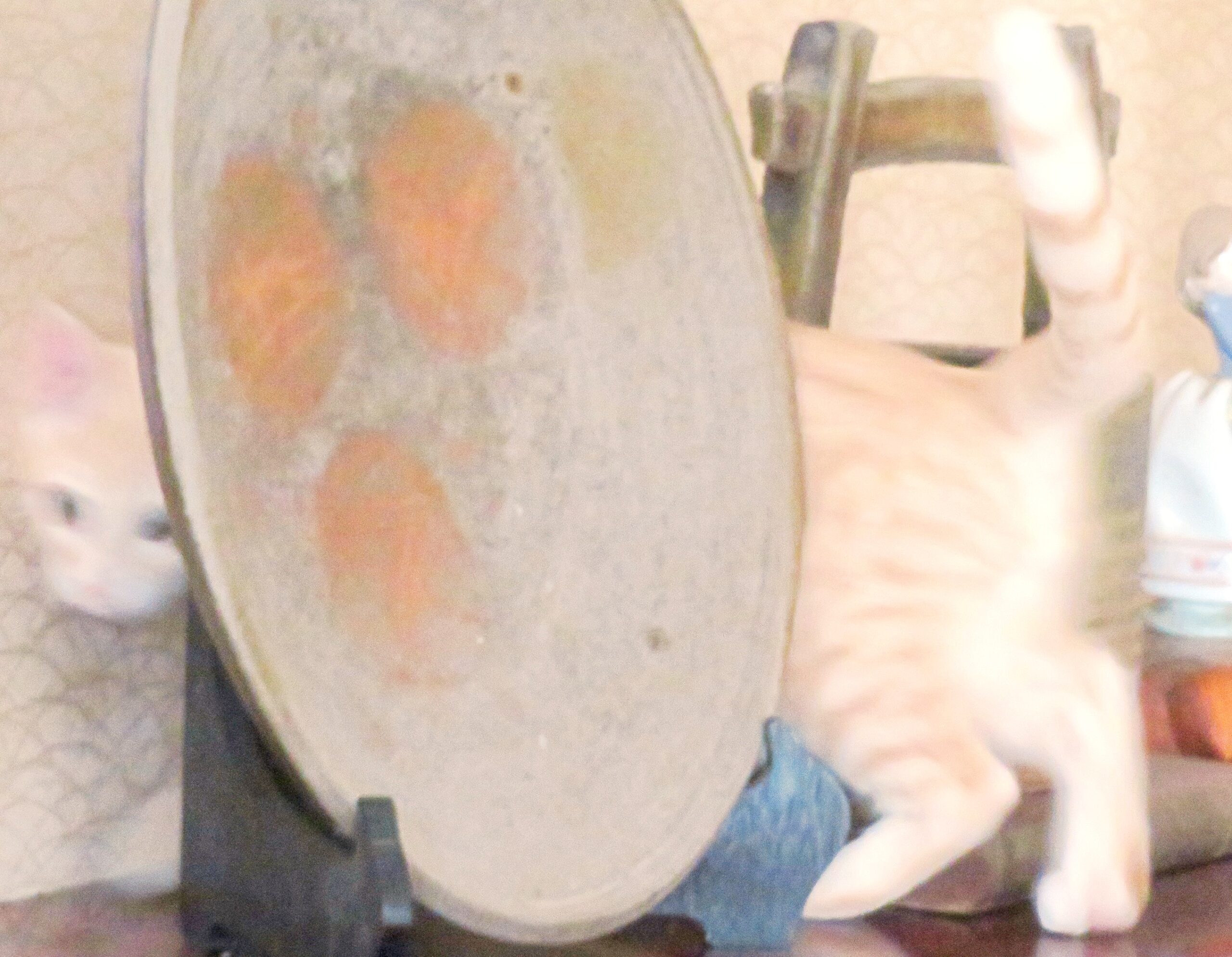 こねこ、そら、遊ぶ