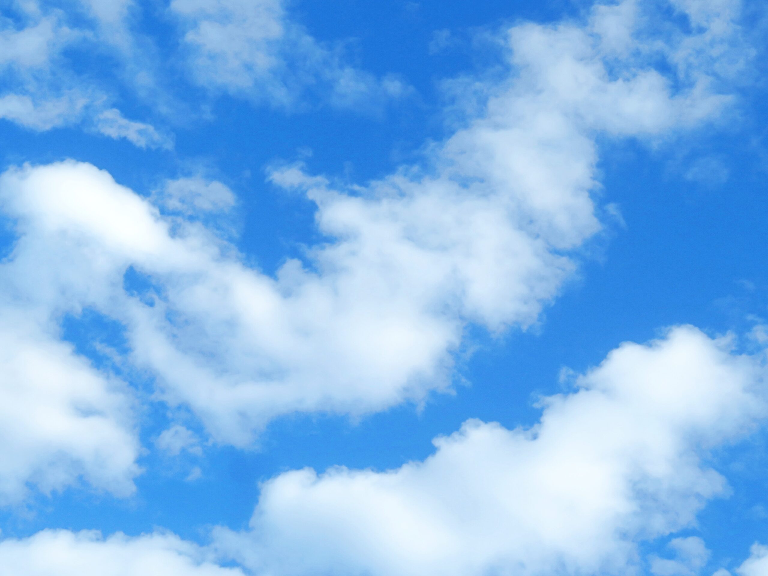 秋の空