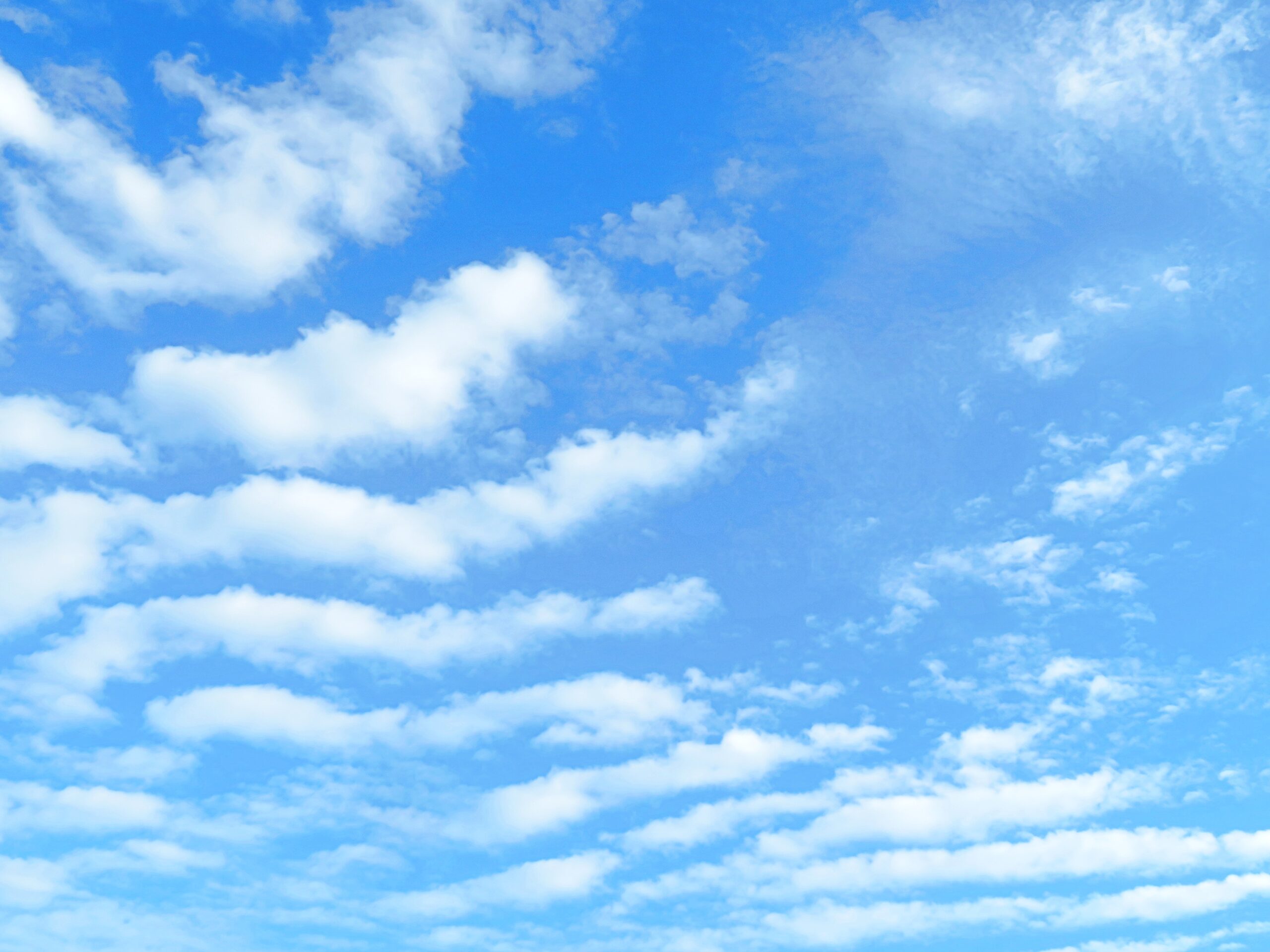 秋の空
