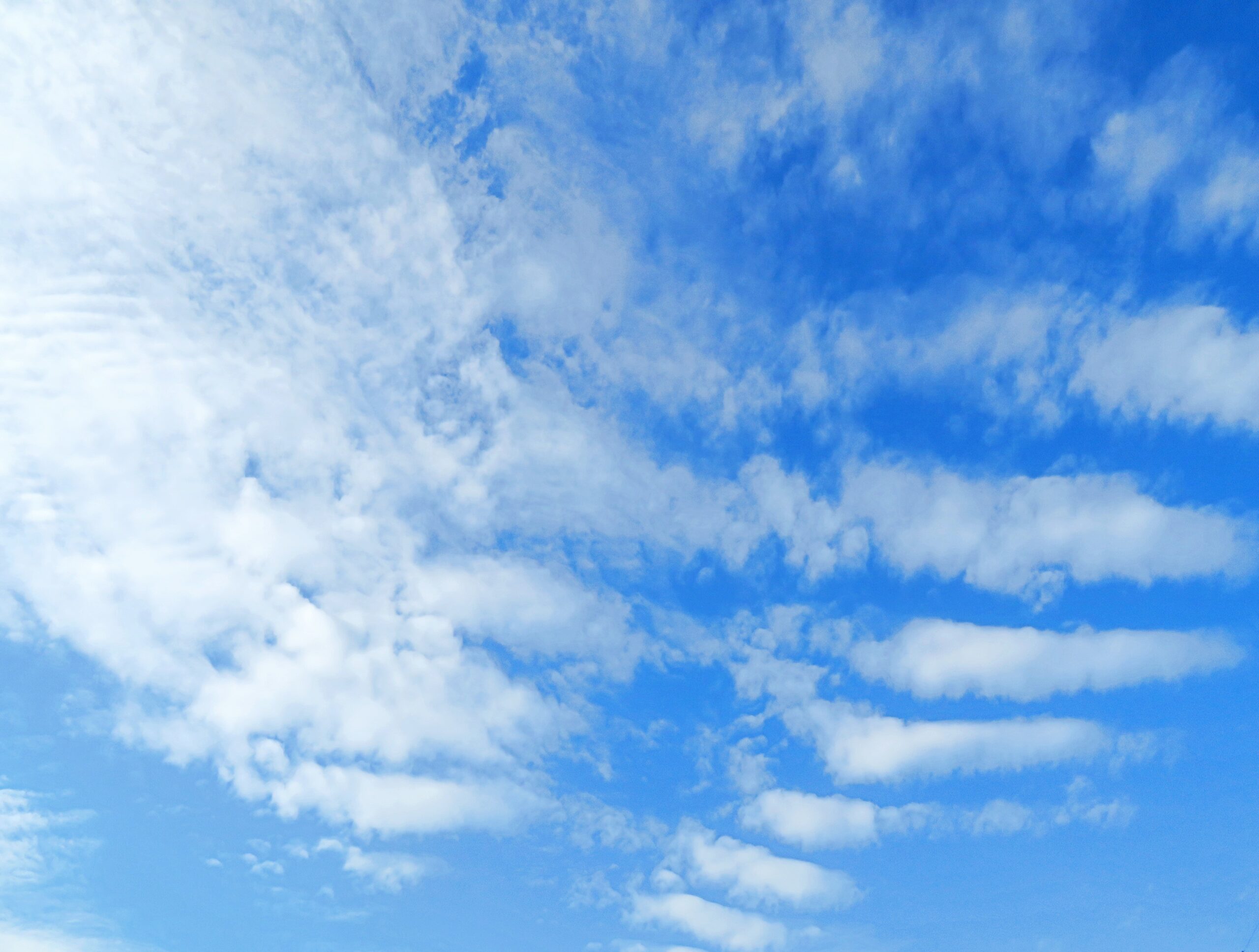 秋の空