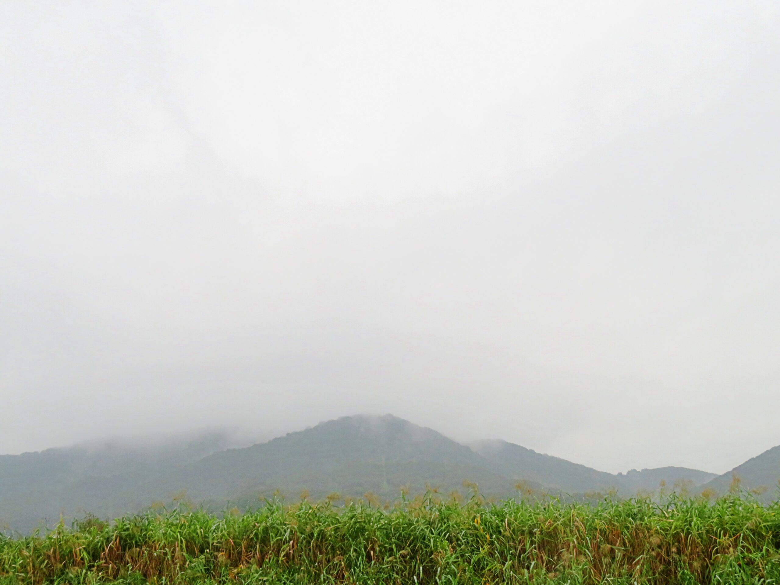 仲秋の雨