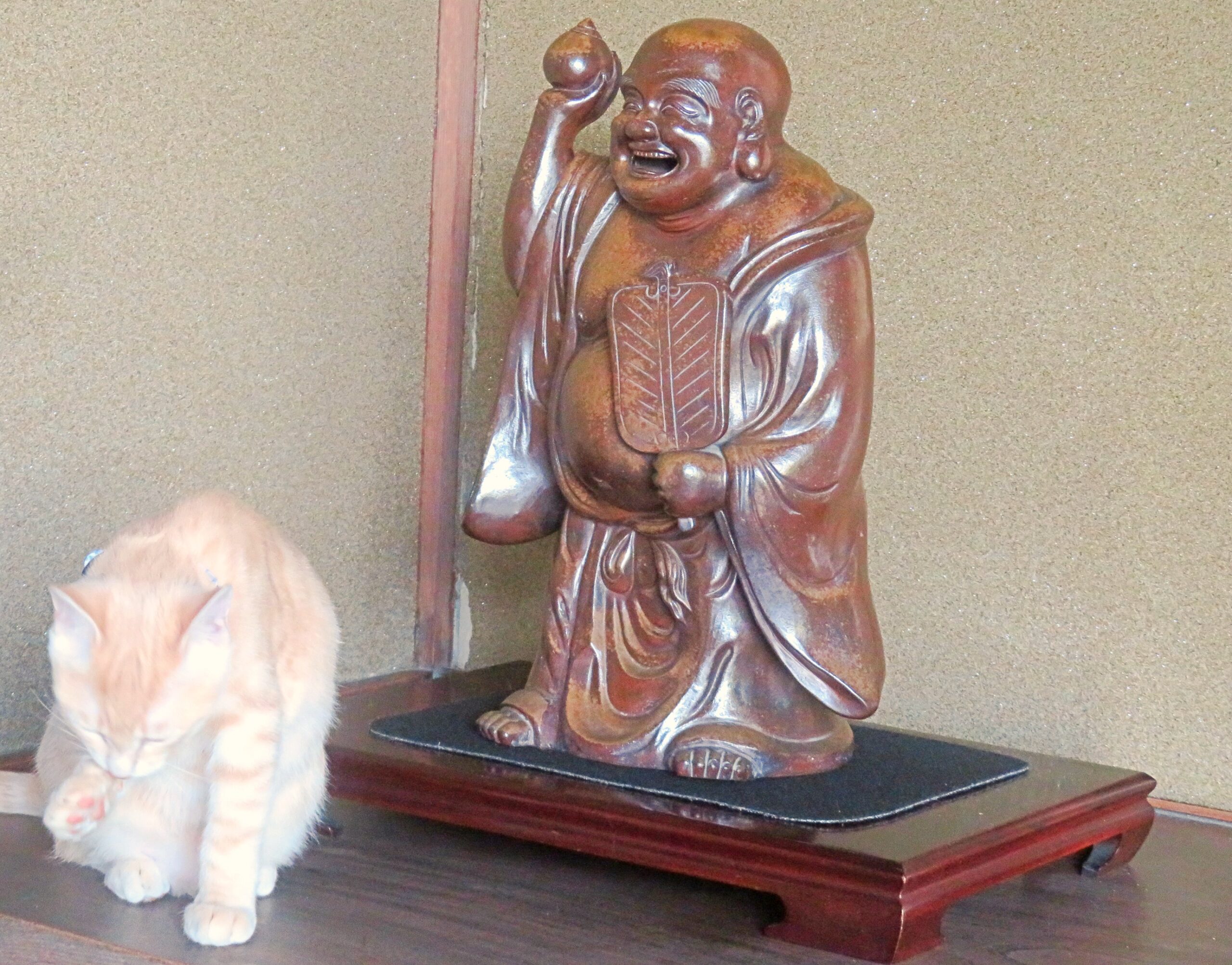 こねこ、そら、遊ぶ