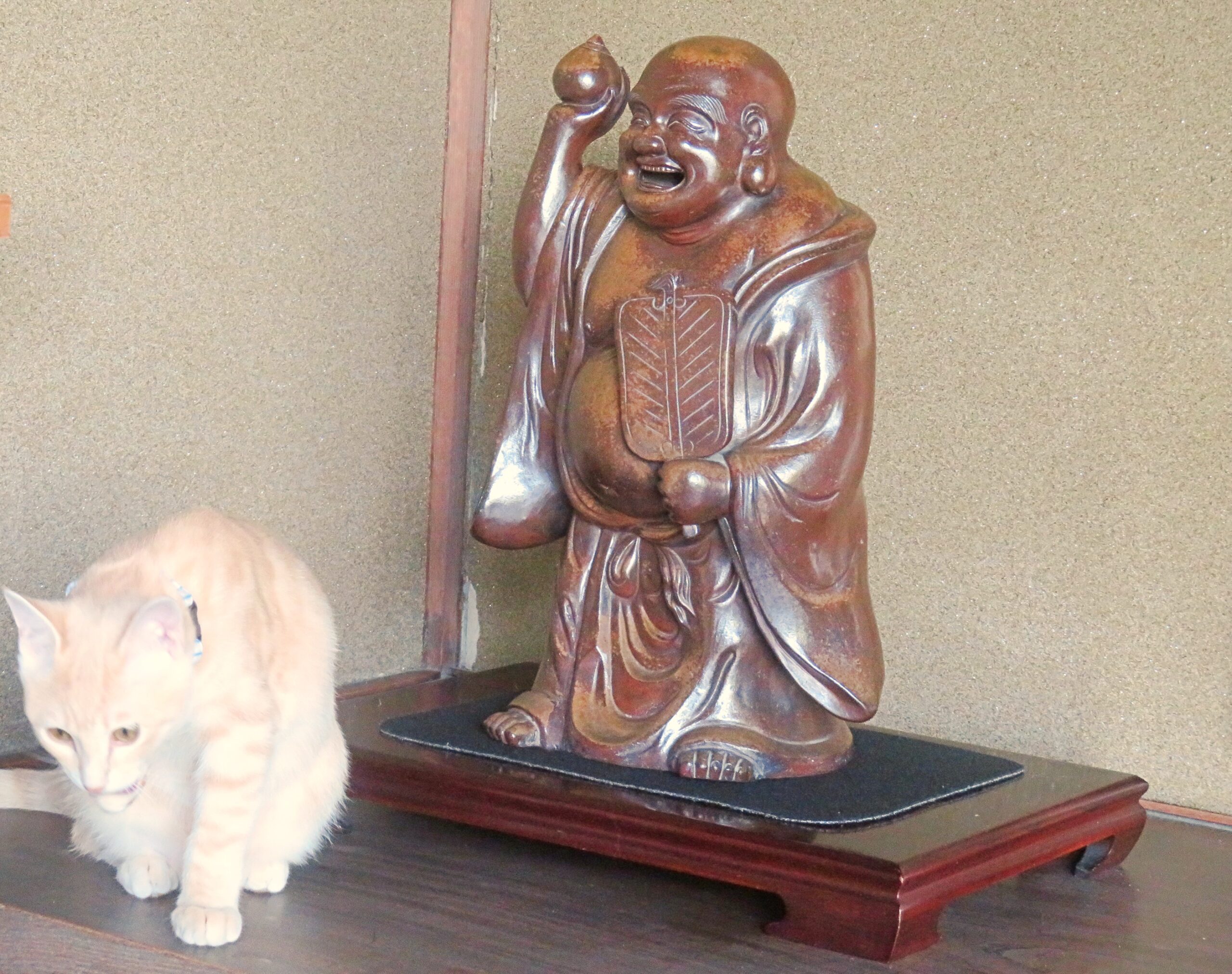 こねこ、そら、遊ぶ