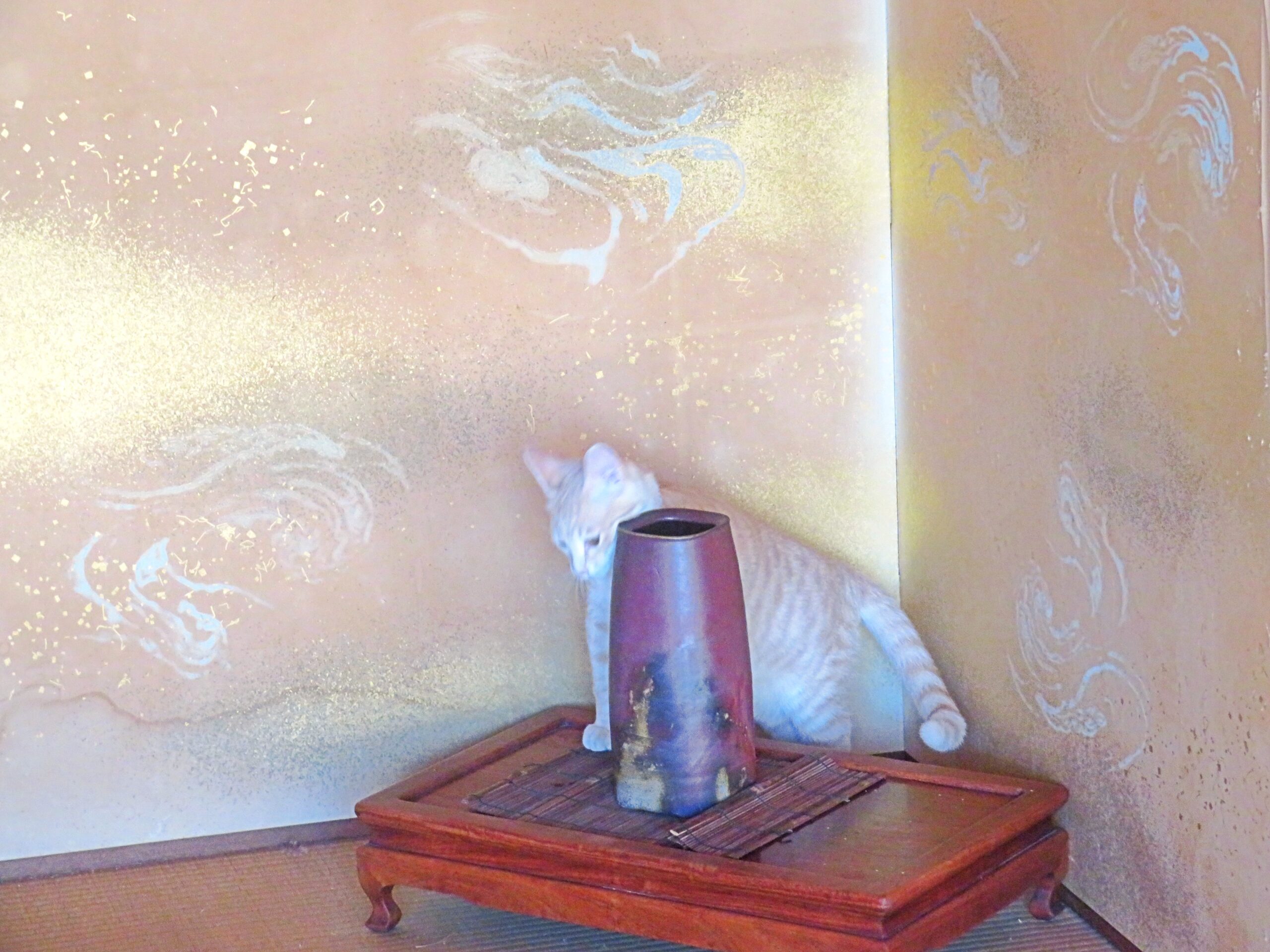 こねこ、そら、遊ぶ