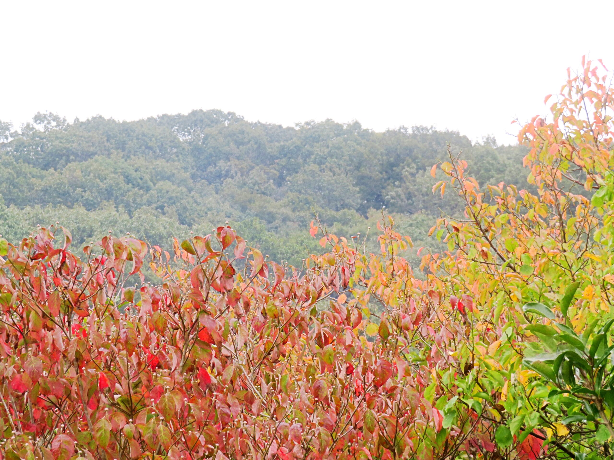 10月の田舎