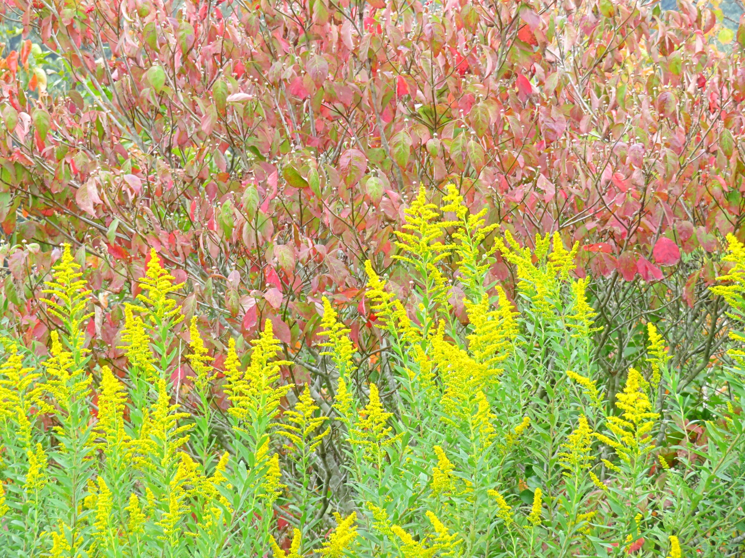 10月の田舎