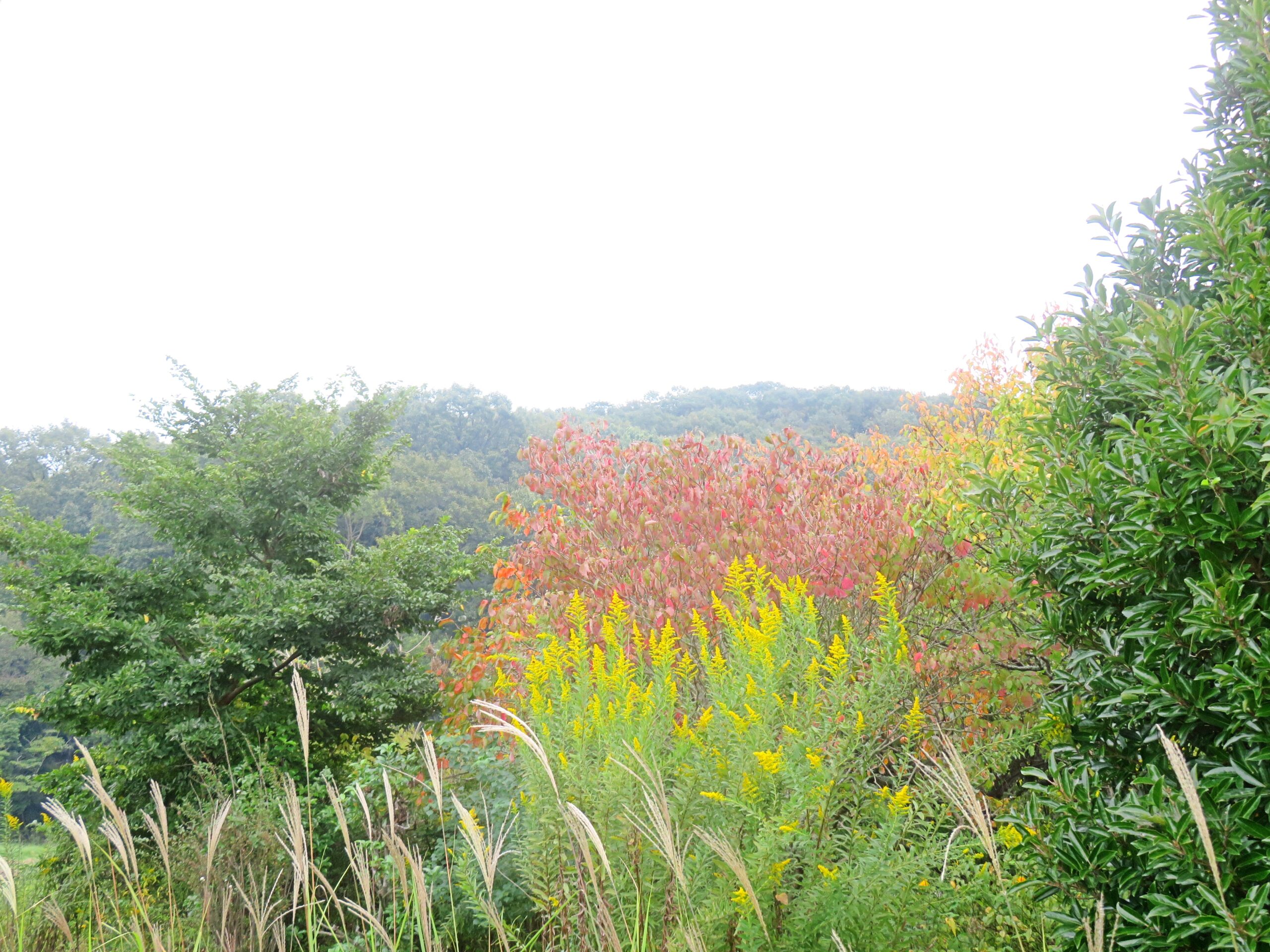 10月の田舎